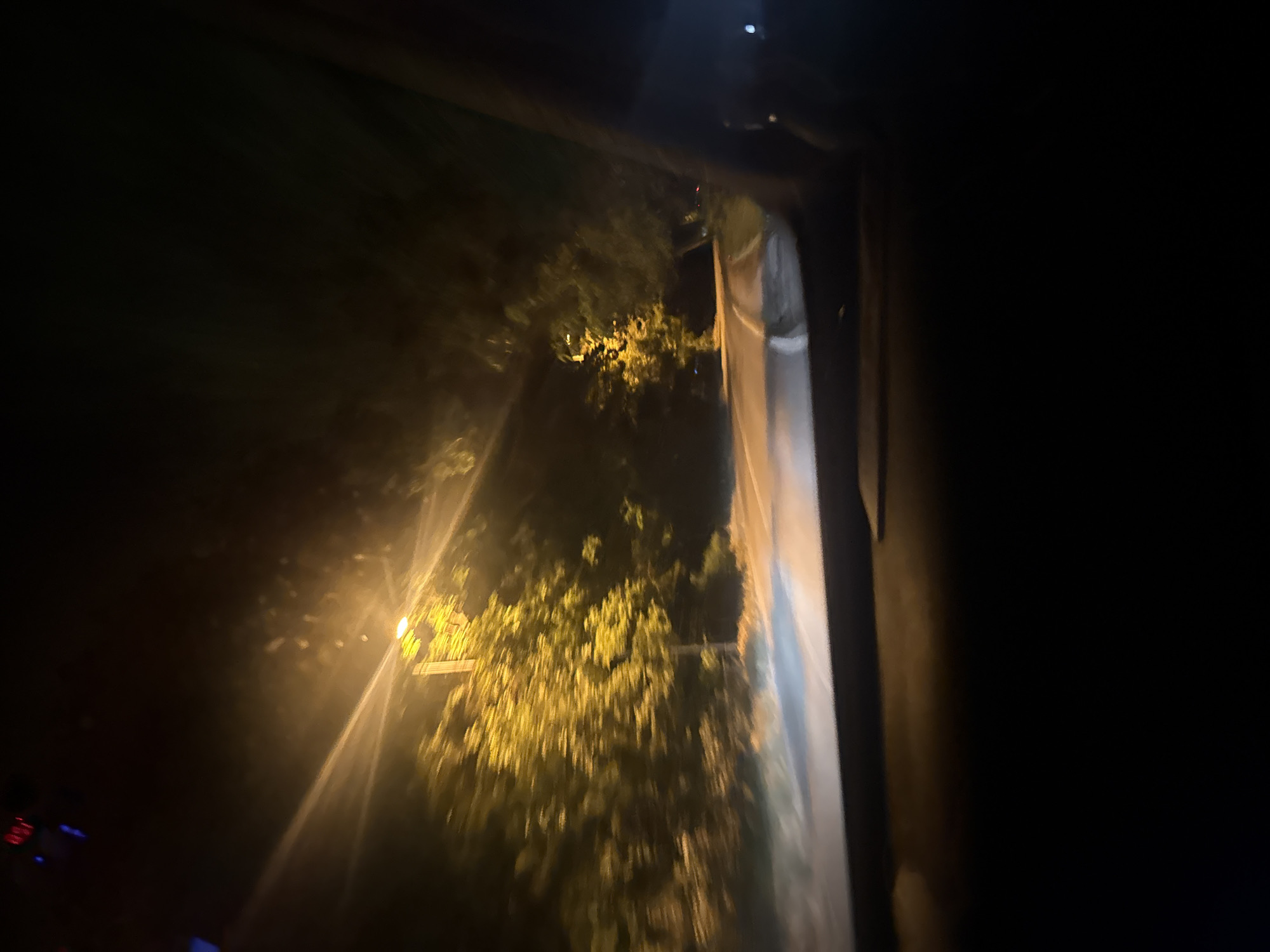 The image depicts a view from inside a vehicle at night, looking out through the windshield. The scene is illuminated by a bright streetlamp, casting a yellowish glow on the surrounding trees and the road. The road appears to be winding, with a white line marking its edge. The trees are dense and appear to be on the side of the road, creating a dark, shadowy backdrop. The overall impression is one of driving through a tree-lined street at night, likely in a suburban or park-like area. It is not possible to definitively identify the specific location in Varna, Bulgaria, from this image alone.