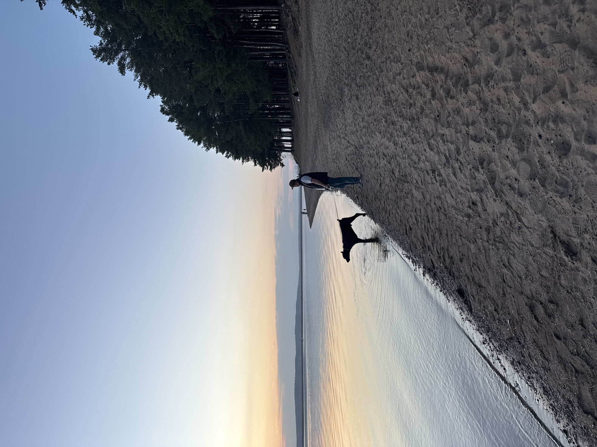 A man and a dog stand on a beach in Chaikovsky, Russia. The beach borders a lake, with trees lining the edge of the sand. The sky is a gradient of blue to yellow, suggesting sunset or sunrise. The man is wearing jeans and a dark jacket, and he holds a leash connected to the dark-colored dog. The dog's silhouette is reflected in the water. The sand is dark and damp near the water's edge.