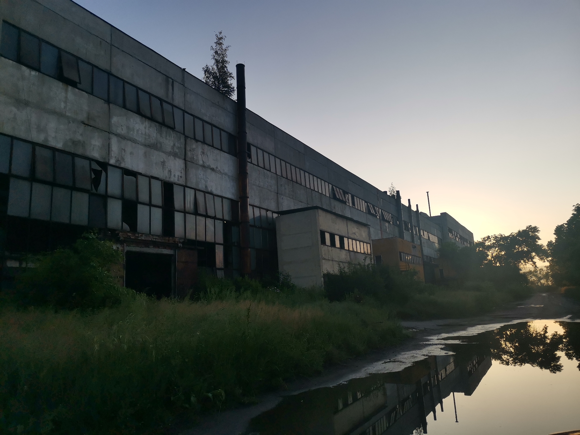This media file captures an atmospheric outdoor scene of an abandoned industrial building at dawn or dusk in Zhivkovo, Bulgaria.
The primary subject is a long, multi-story factory or warehouse building, constructed from weathered concrete or stone, stretching across the midground. Its facade is punctuated by numerous large, rectangular windows arranged in multiple rows. Many of these windows are broken, some panes are missing, and others are tilted open, revealing dark interiors. Patches of grime and discoloration are visible on the building's surface, indicating decay and disuse. Several narrow, dark pipes or chimneys ascend vertically along the side of the building, and small trees and vegetation are seen growing on its roofline and around its structures.
In the foreground, a strip of overgrown grass and wild vegetation occupies the left side of the frame, hinting at the area's neglect. To the right, a rough dirt path or road is visible, featuring several large puddles. These puddles perfectly reflect the building and the sky, creating a striking mirror image.
The setting suggests an industrial area that has fallen into disrepair. The time of day is characterized by soft, low-angle light. The sky transitions from a warm, golden hue near the horizon, especially visible in the reflections, to a lighter blue-grey overhead, typical of early morning or late evening. The still water in the puddles indicates calm weather conditions. The overall mood evokes a sense of abandonment, quietude, and a melancholic beauty. No people or visible text are present in the image.