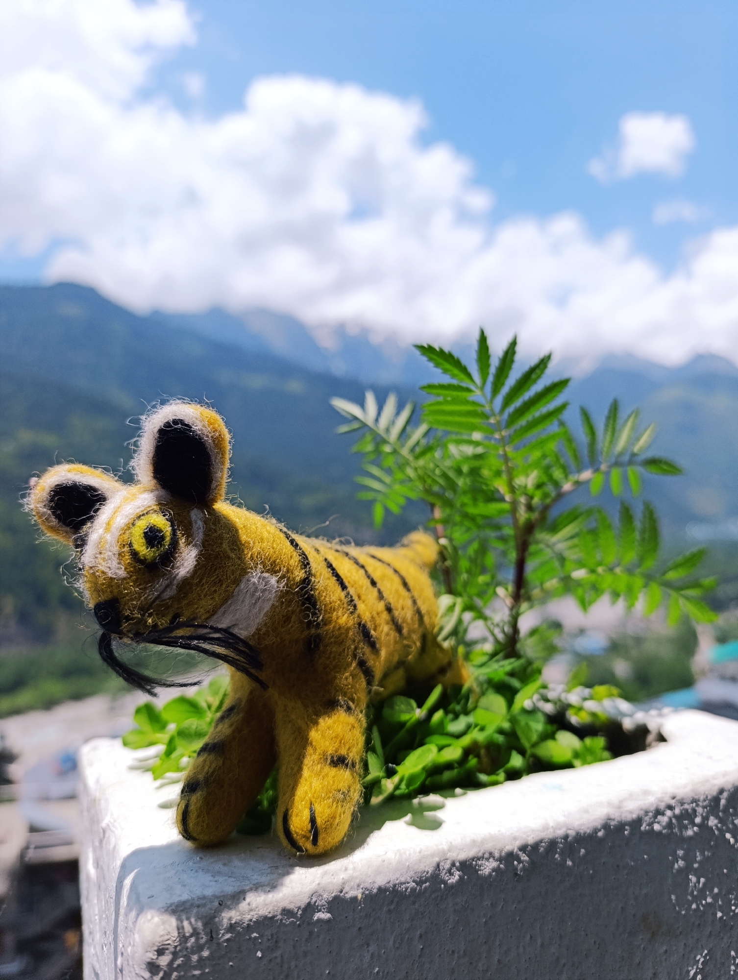 In Vashisht, India, a small, handmade felt tiger figurine is placed in a white planter. The tiger is yellow with black stripes and is positioned on lush green foliage. A small green plant grows behind the tiger. The planter sits on a ledge, with a scenic mountainous landscape under a bright blue sky with scattered clouds in the background. The focus is on the tiger and the planter, with the background softened.