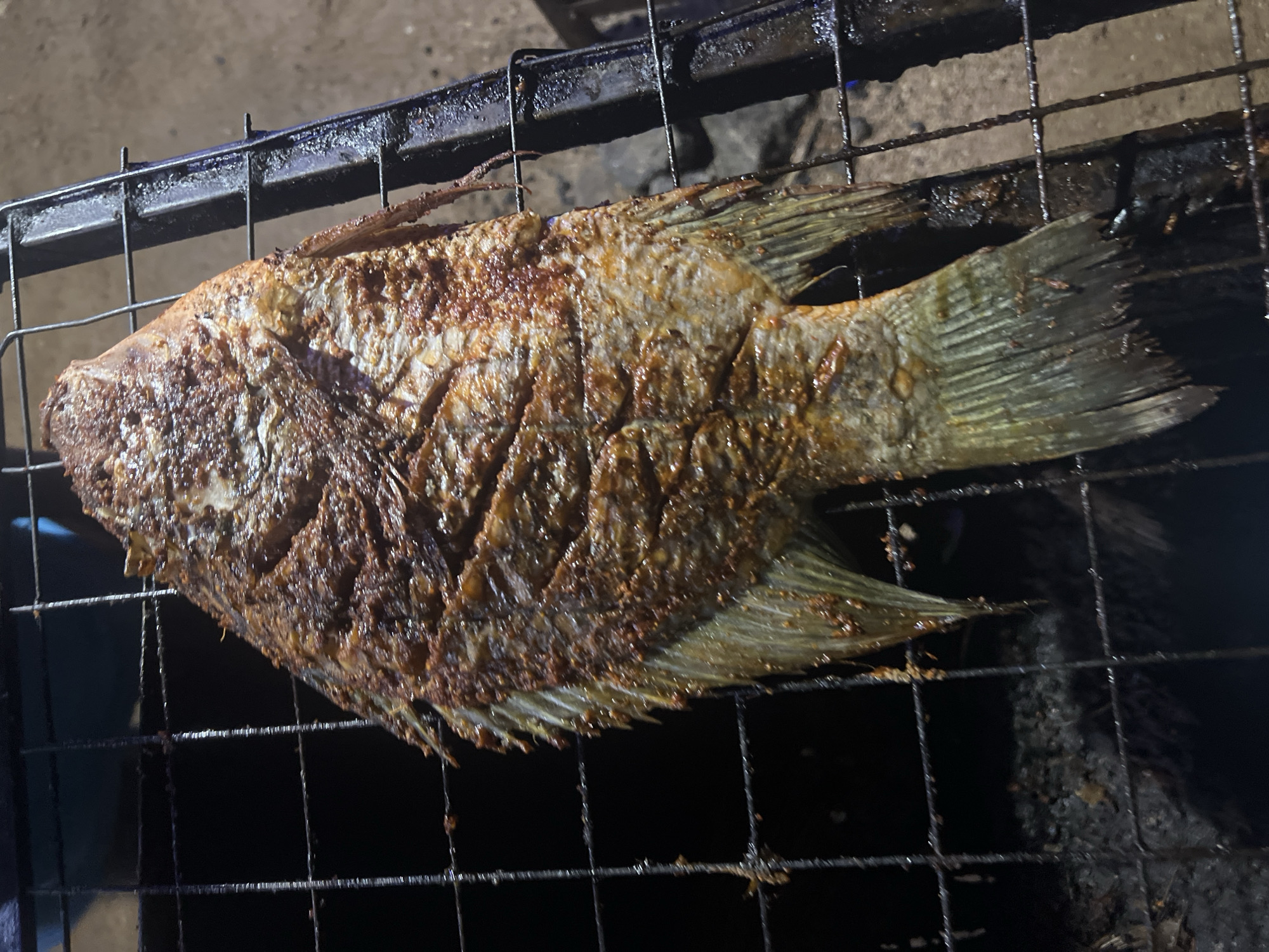 A whole fish, likely tilapia, is being grilled on a wire rack. The fish is browned and appears cooked. The background is dark, suggesting it is nighttime. The location, Jalingo, Nigeria, cannot be confirmed from the image alone. No people, specific objects beyond the fish and grill, actions other than grilling, interactions, or other environmental details are discernible.