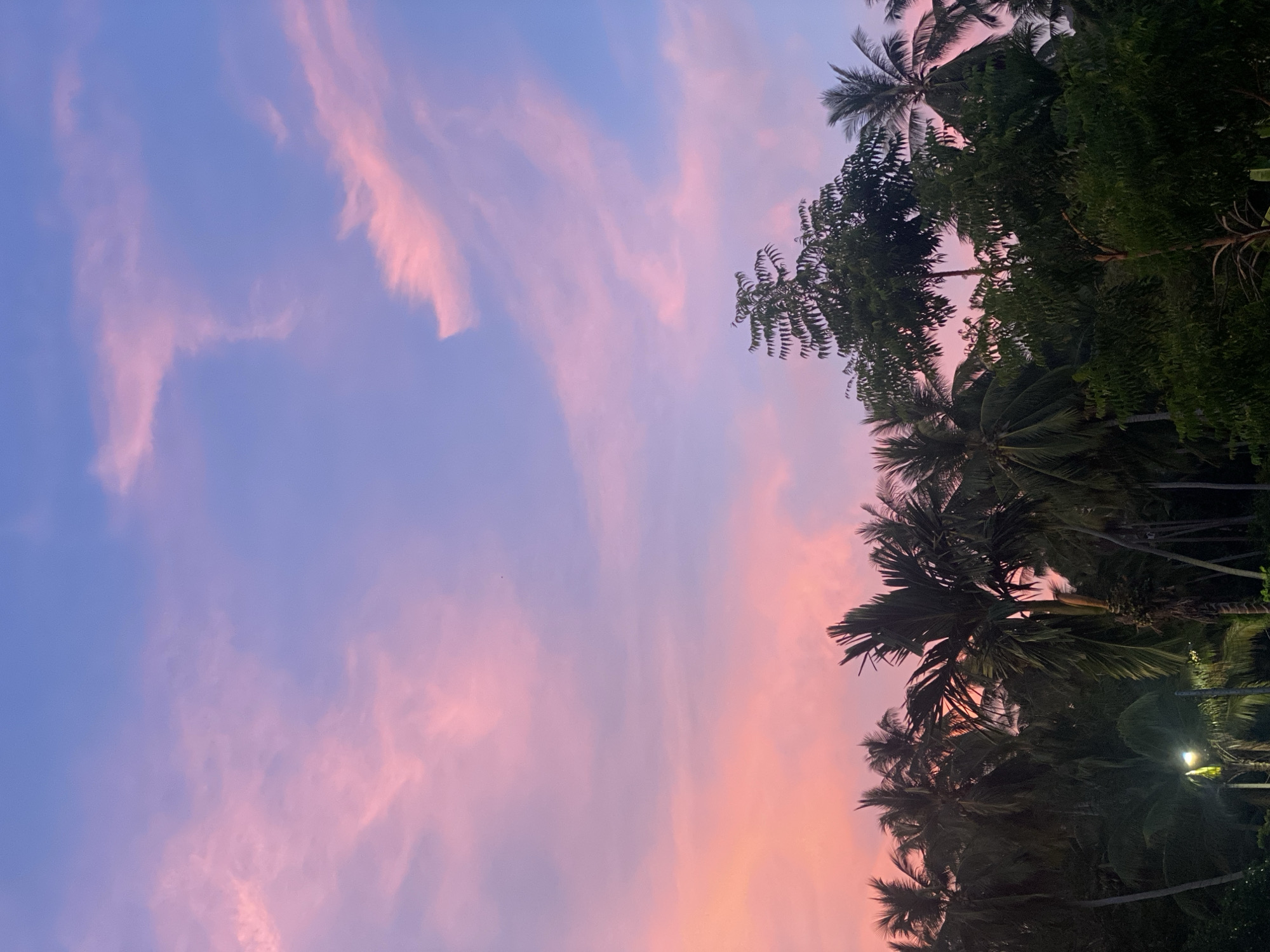 The image depicts a vertical view of a sunset sky in Baan Kai, Thailand, next to lush tropical vegetation. The sky transitions from a light blue to a vibrant pink and orange hue, with wispy clouds scattered throughout. Silhouetted against the sky are palm trees and other dense foliage, suggesting a tropical or coastal environment. A light source is visible near the bottom right corner, possibly a street lamp or building light. The overall scene captures the tranquil beauty of a tropical sunset.