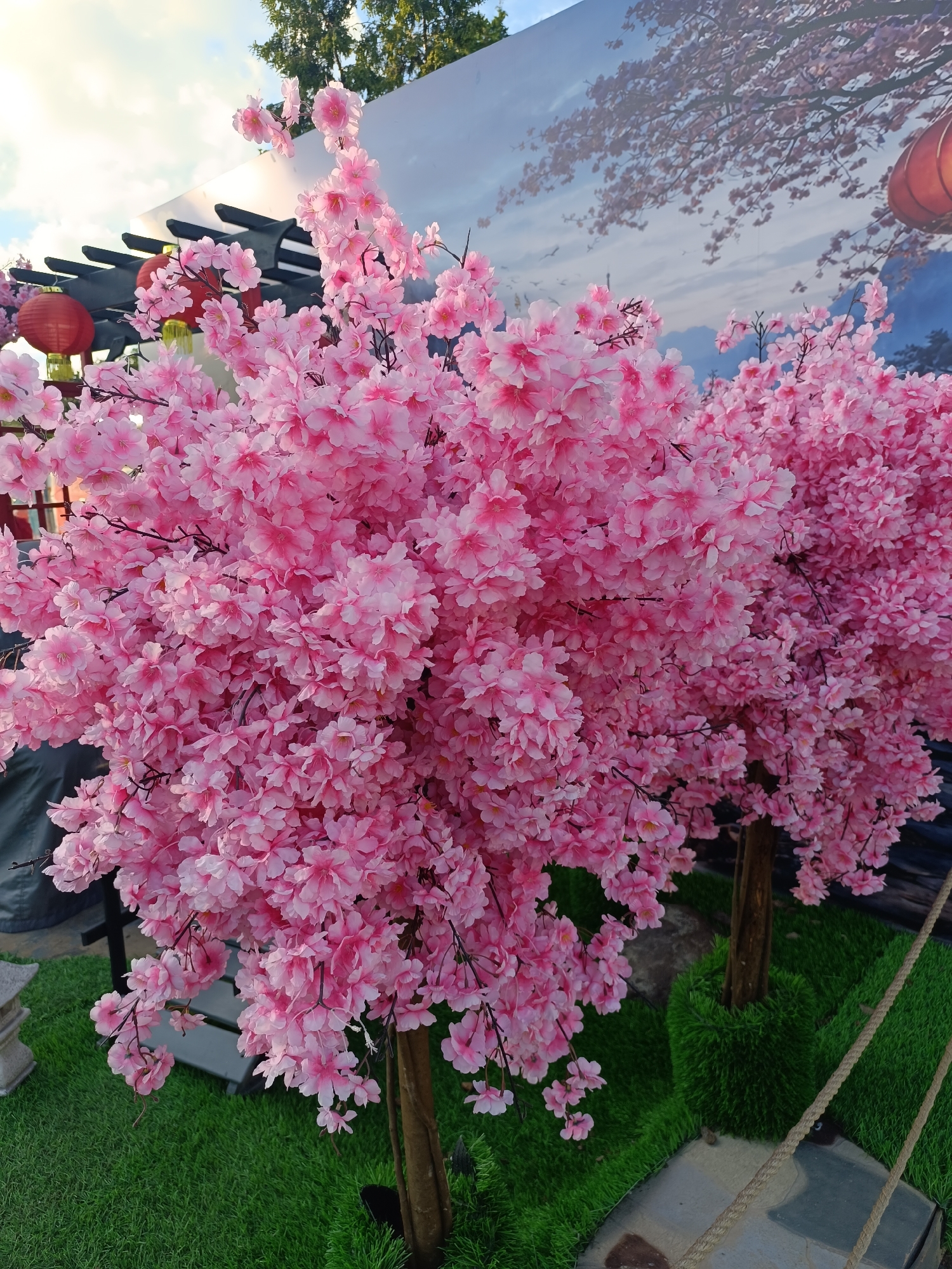 This image depicts an outdoor decorative display featuring two artificial cherry blossom trees with abundant pink flowers. The trees are set against a backdrop that appears to be a large printed mural or screen, showing a stylized landscape with cherry blossom branches, a mountain, and a sky with birds. To the left of the trees, there is a dark pergola structure with two red lanterns hanging from it, and possibly another yellow lantern. The ground is covered with green artificial turf, and there are some decorative stone elements and ropes visible. The overall scene suggests a festive or thematic installation, possibly in an urban park or a commercial area. The lighting indicates it is daytime, with some clouds in the sky. There are no people visible in the image.