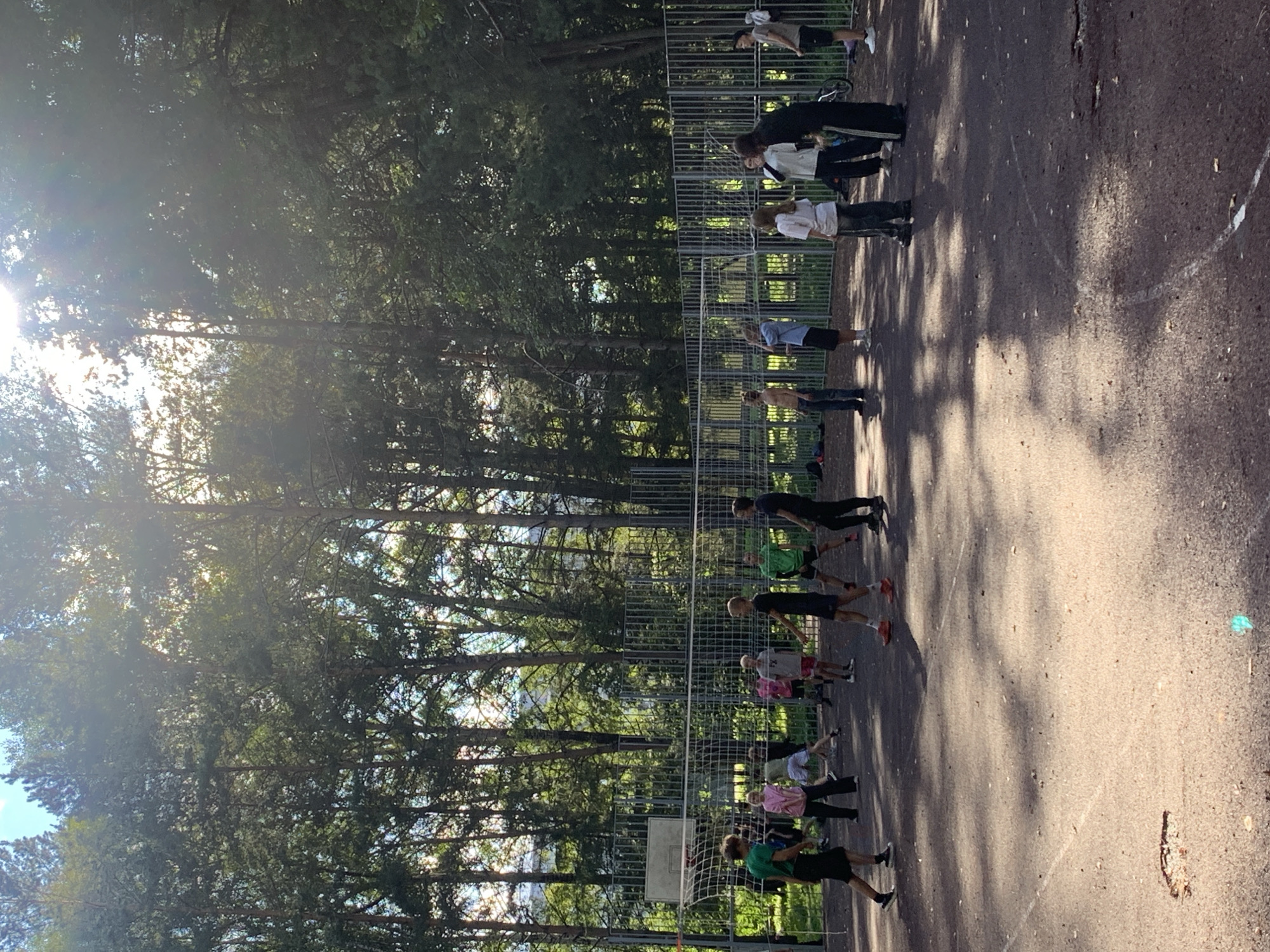 In Prokopyevsk, Russia, a group of young people are playing volleyball on an outdoor court surrounded by a metal fence. The court is made of asphalt, with some visible cracks and markings. Tall trees with dense green foliage line the background, and sunlight filters through the leaves, creating dappled shadows on the court. A volleyball net is set up in the middle of the court. Several individuals, appearing to be teenagers and young adults, are scattered across the court, engaged in the game or observing. Some are in motion, suggesting active participation. Their attire is casual, suitable for sports. The overall atmosphere appears to be a casual outdoor gathering and recreational activity.