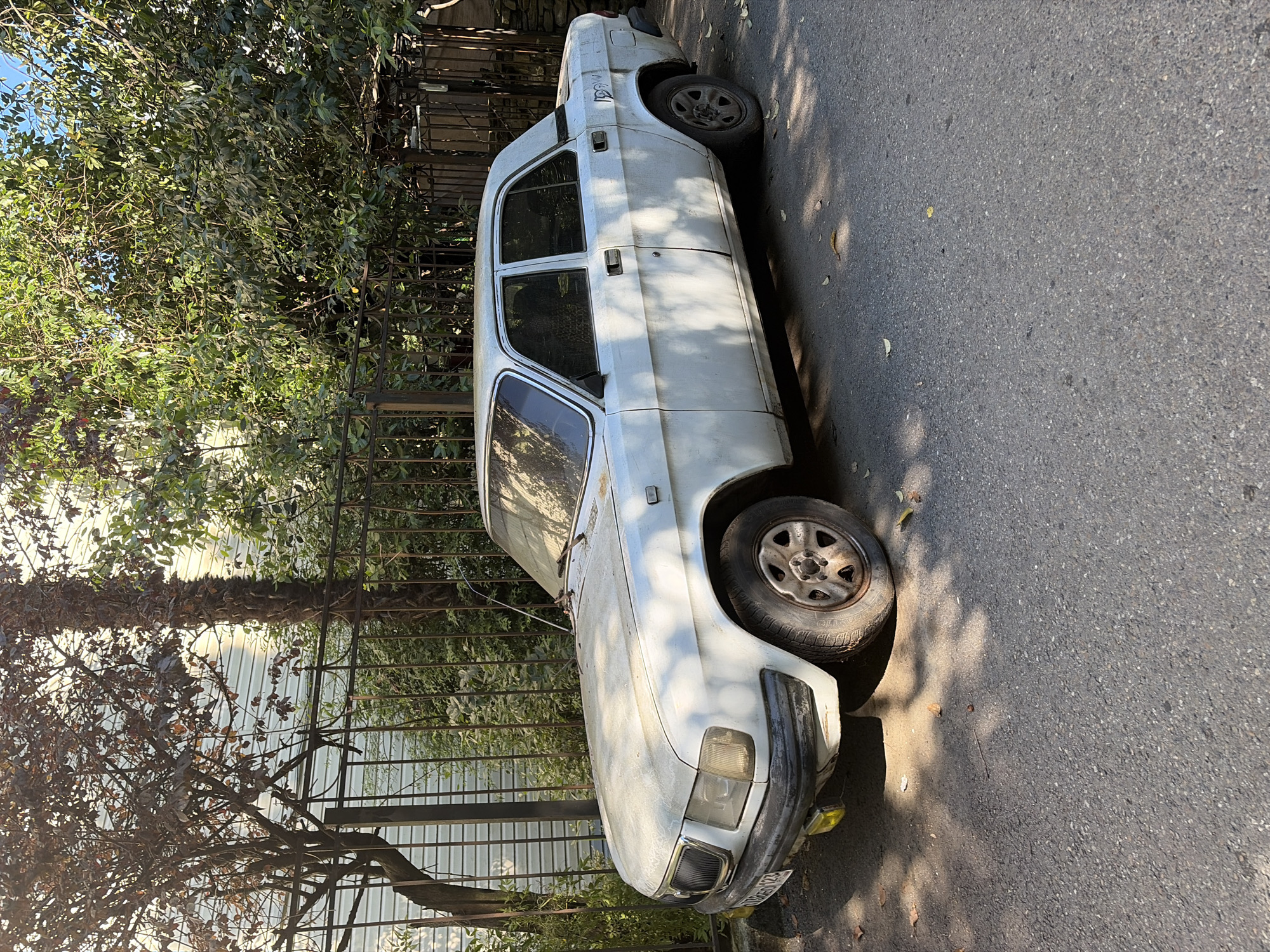 A white, aged sedan sits parked on an asphalt street. The car, likely a GAZ-3110 Volga, exhibits signs of wear, with a dusty exterior and slightly rusted rims. Its headlights are yellowed, and there's a visible license plate that appears to read "1098MA 123".
The car is positioned in front of a decorative metal fence, behind which lush green trees and foliage create a dense backdrop. Sunlight filters through the leaves, casting dappled shadows on the car and the street. The scene suggests a residential area in Sochi, Russia, possibly on a warm, sunny day. The overall impression is one of a quiet, somewhat overgrown urban environment.