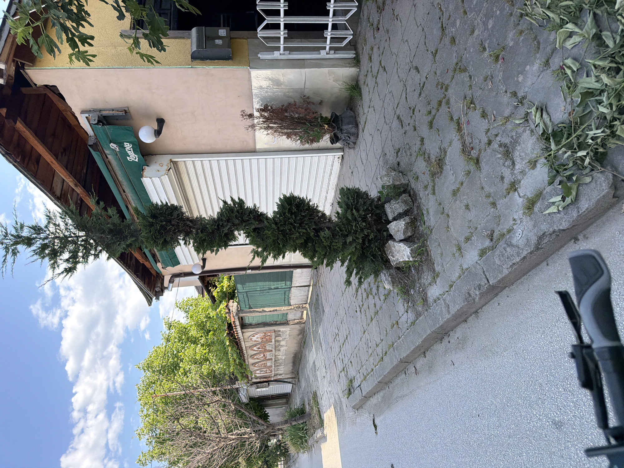 The image depicts a street scene in Plovdiv, Bulgaria, likely on a residential or commercial street. In the foreground, a paved sidewalk is visible, with a curb separating it from the asphalt street. The sidewalk is made of grey interlocking pavers, with some grass growing in the cracks. A few scattered rocks are also present on the sidewalk. A section of a bicycle handlebar is visible in the lower left corner of the image.
To the right of the sidewalk, a building with a light pink facade and a yellow section is present. The building has a wooden overhang and a green awning with the word "Zagorka" written on it in white lettering. A white globe light fixture is mounted on the facade. There is a roll-up garage door, and next to it, a tall, slender, dry shrub is planted in a dark pot. A white metal fence with decorative elements is also visible on the right side of the building.
Further down the street, a wall with decorative panels is visible, behind which green fencing and trees can be seen. A tall, conical evergreen tree is planted in the foreground, near the building, surrounded by several rocks at its base. The sky above is blue with scattered white clouds, suggesting it is daytime. The overall impression is that of a street in a European city, with a mix of residential and commercial elements.