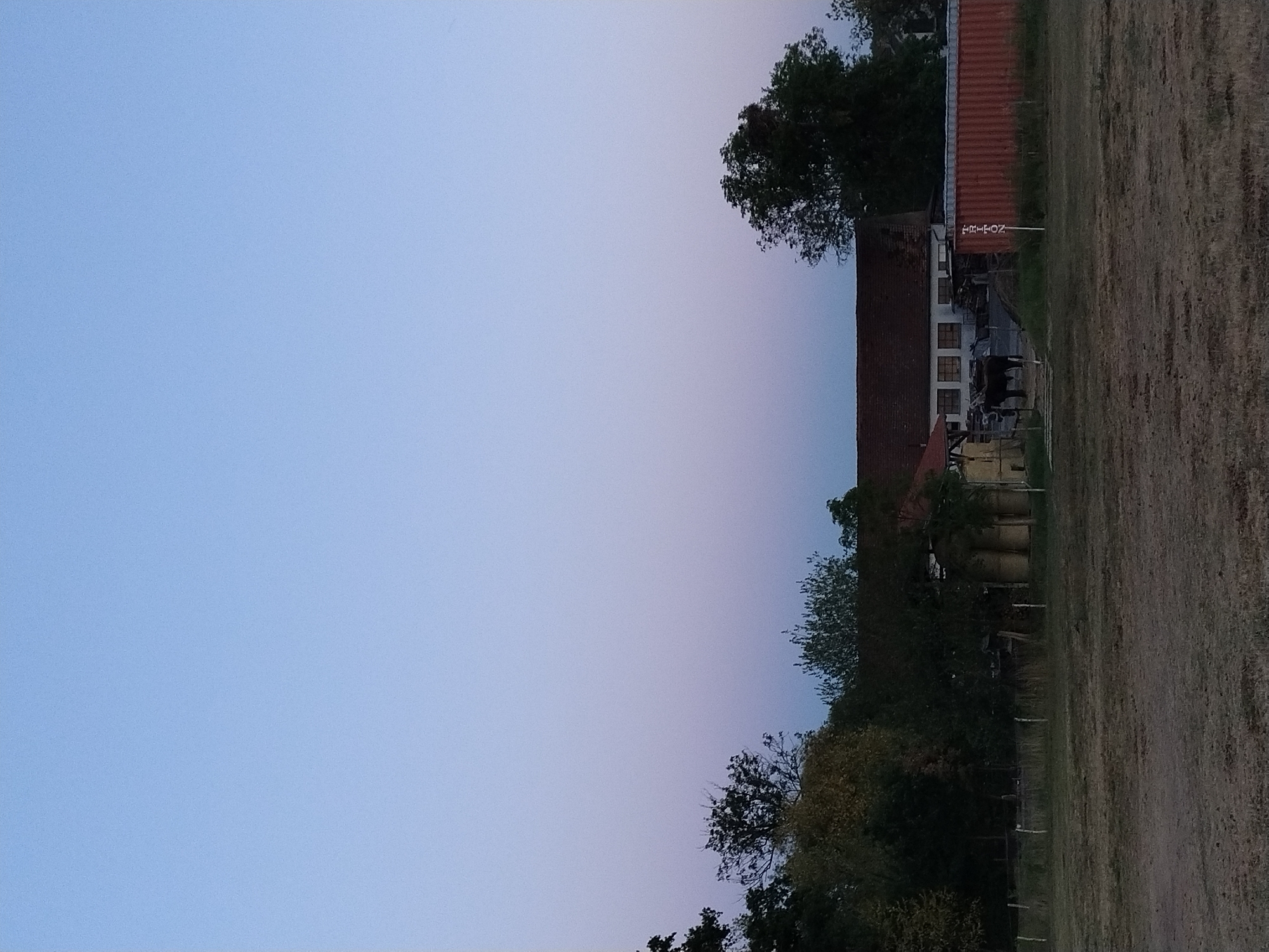 The image depicts a rural scene in Dobev, Czechia, at dusk. A long, white building with a red roof is visible in the background, flanked by trees. In front of the building, a single, dark-colored bovine stands near a covered structure. To the right of the building, a large, corrugated orange shipping container is present, with the word "TRITON" vertically displayed on a white sign in front of it. The foreground consists of a dry, grassy field. The sky above is a gradient of light blue to pale purple, indicating the transition from day to night. No people are visible in the image.