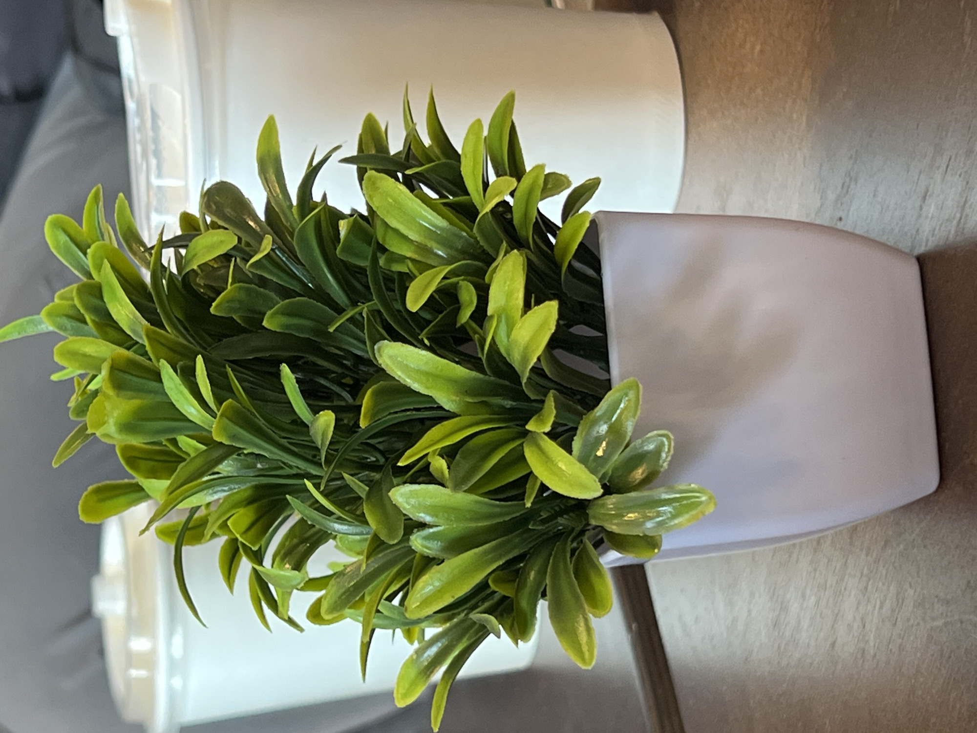 The image displays an artificial potted plant situated on a textured surface that resembles wood grain. The plant features dense, vibrant green foliage with numerous small, elongated leaves. These leaves show variations in color, ranging from brighter lime green to deeper forest green, and have a slightly glossy, synthetic appearance, characteristic of plastic or silk plants.
The plant is housed in a simple, white, square-shaped pot with subtly rounded corners, which is positioned towards the right side of the frame. In the background, out of focus, are glimpses of other white objects, possibly additional containers or elements of the setting. The scene appears to be indoors, likely in a home or office environment, given the artificial plant and furniture-like surface.
There is no activity depicted, and no people or animals are visible. The lighting is bright and even, highlighting the details of the plant's leaves and the pot. The image is oriented sideways, with the pot and plant appearing to lean to the left. No text is discernible anywhere in the frame.