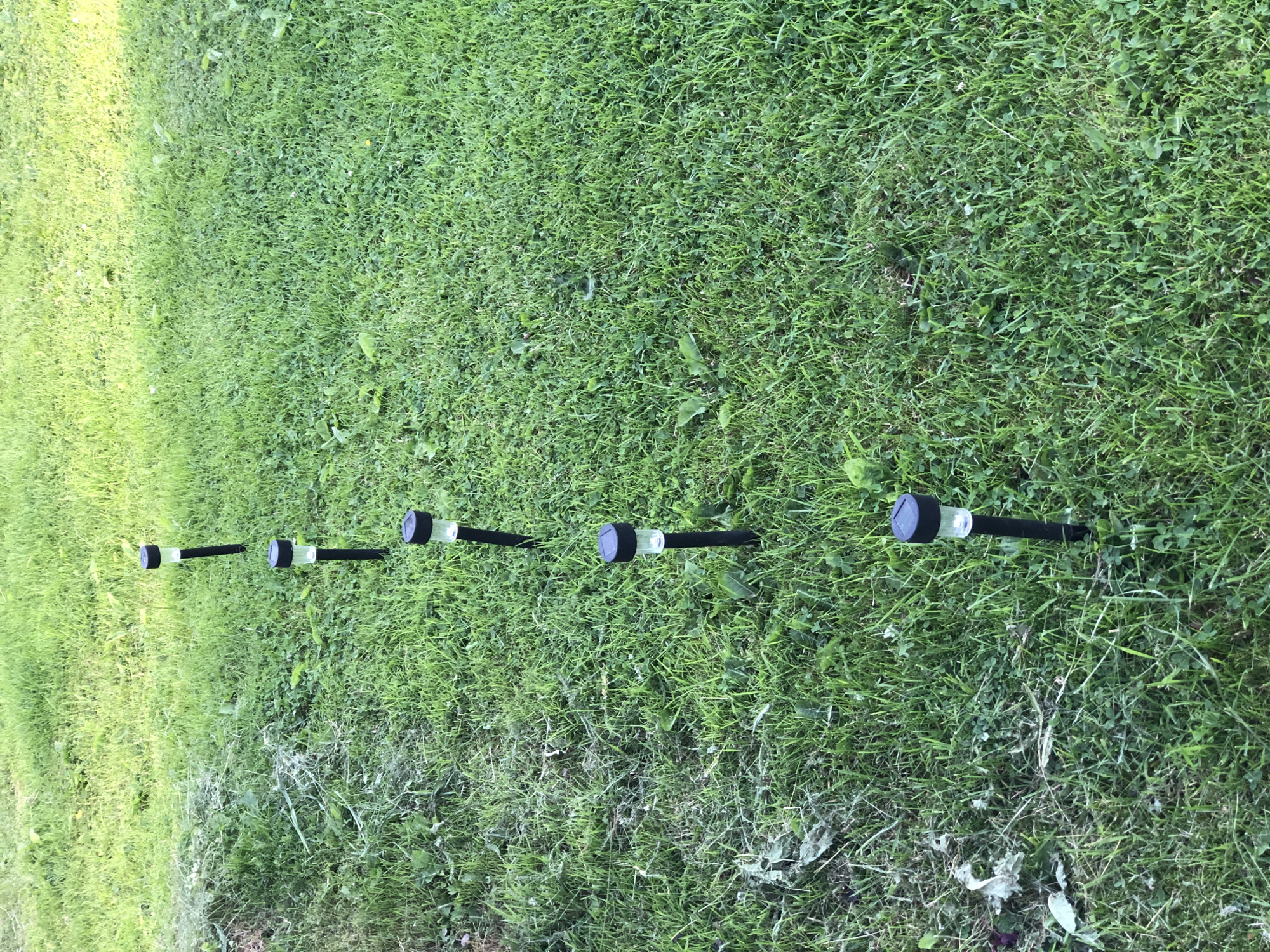 The image shows a row of six solar-powered garden lights planted in a grassy area. The lights are black and silver with clear tops. The grass is green and appears to be recently mowed in some areas, with some clippings visible on the left side of the frame. The scene is outdoors, with natural lighting suggesting it is daytime. The specific location in the city of Zhukovo, Russia, cannot be determined from the image alone. There are no people or animals visible in the photograph.