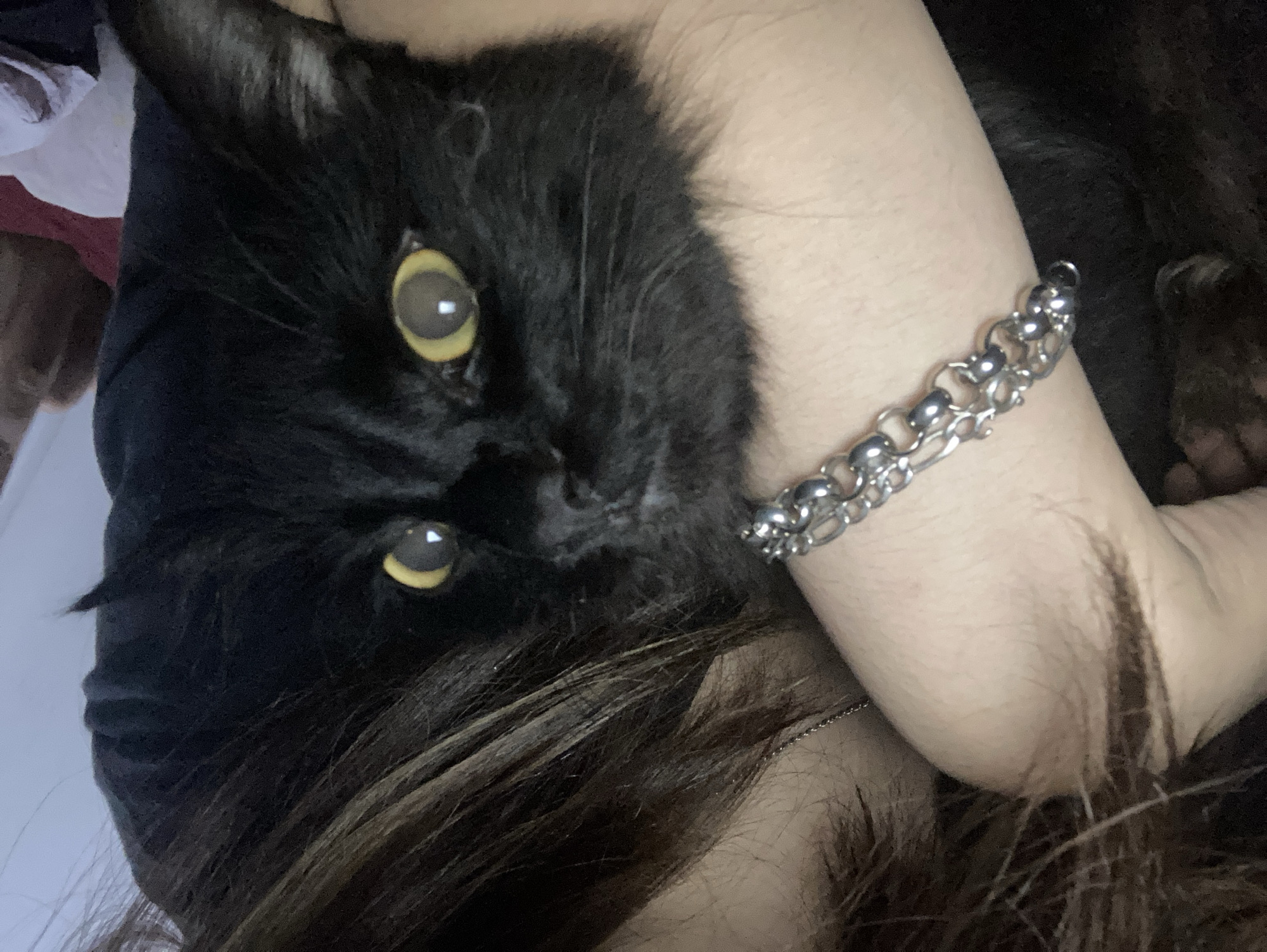 A close-up shot depicts a black cat with yellow eyes being held by a person. The person's arm, adorned with a silver chain bracelet, is visible near the cat's head. Brown hair is also visible near the person's arm and the cat. The background is indistinct. The location is unspecified.