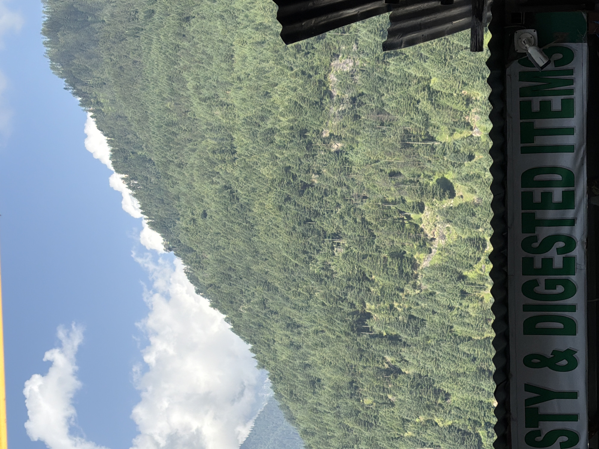 The image shows a dense forest of coniferous trees covering a steep mountainside under a blue sky with scattered white clouds. In the foreground, partially obscuring the bottom portion of the image, is a corrugated metal roof structure. Below the roof, a white banner with large green lettering reads "STY & DIGESTED ITEMS". To the right of the banner, a white security camera is mounted. The scene suggests an outdoor location, possibly a market or roadside establishment, situated in Vashisht, India, given the presence of the banner and the mountainous, forested environment.