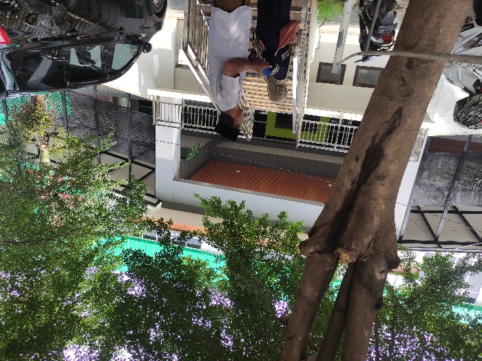 The image, rotated for correct viewing, depicts an outdoor scene in what appears to be an urban or semi-urban environment.
**Subjects:** Two people are visible near a building. One man, positioned to the left of the frame (from the viewer's perspective), wears a white long-sleeved shirt, dark trousers or a sarong, and a dark cap (possibly a peci/songkok). He is looking downwards. A second person, partially obscured behind him, appears to be wearing a dark top and carrying a reddish bag. A black car is parked on the far left, and a white scooter or motorbike is parked on the far right. A prominent tree trunk stands in the right foreground, with green foliage from other trees visible on the left and bottom of the frame, and some in the background. In the midground, there is a multi-story building featuring white and grey walls, balconies with metal railings, some windows, a section with a bright green wall on a lower level, and a visible terracotta-tiled roof on one part.
**Activity or event taking place:** The people are standing near the building, but their specific activity or interaction is unclear. The man appears to be looking down, possibly at something on the ground or in his hand.
**Notable details:** The scene is brightly lit, indicating daytime and sunny weather, with clear shadows cast by objects and people. The architecture of the building, including the balconies and roof tiles, along with the headwear of the man (resembling a peci/songkok), aligns with the provided location context of Kecamatan Asembagus, Indonesia. The image is taken from a slightly low angle.
**Visible text:** No discernible text is clearly visible on any objects or surfaces.