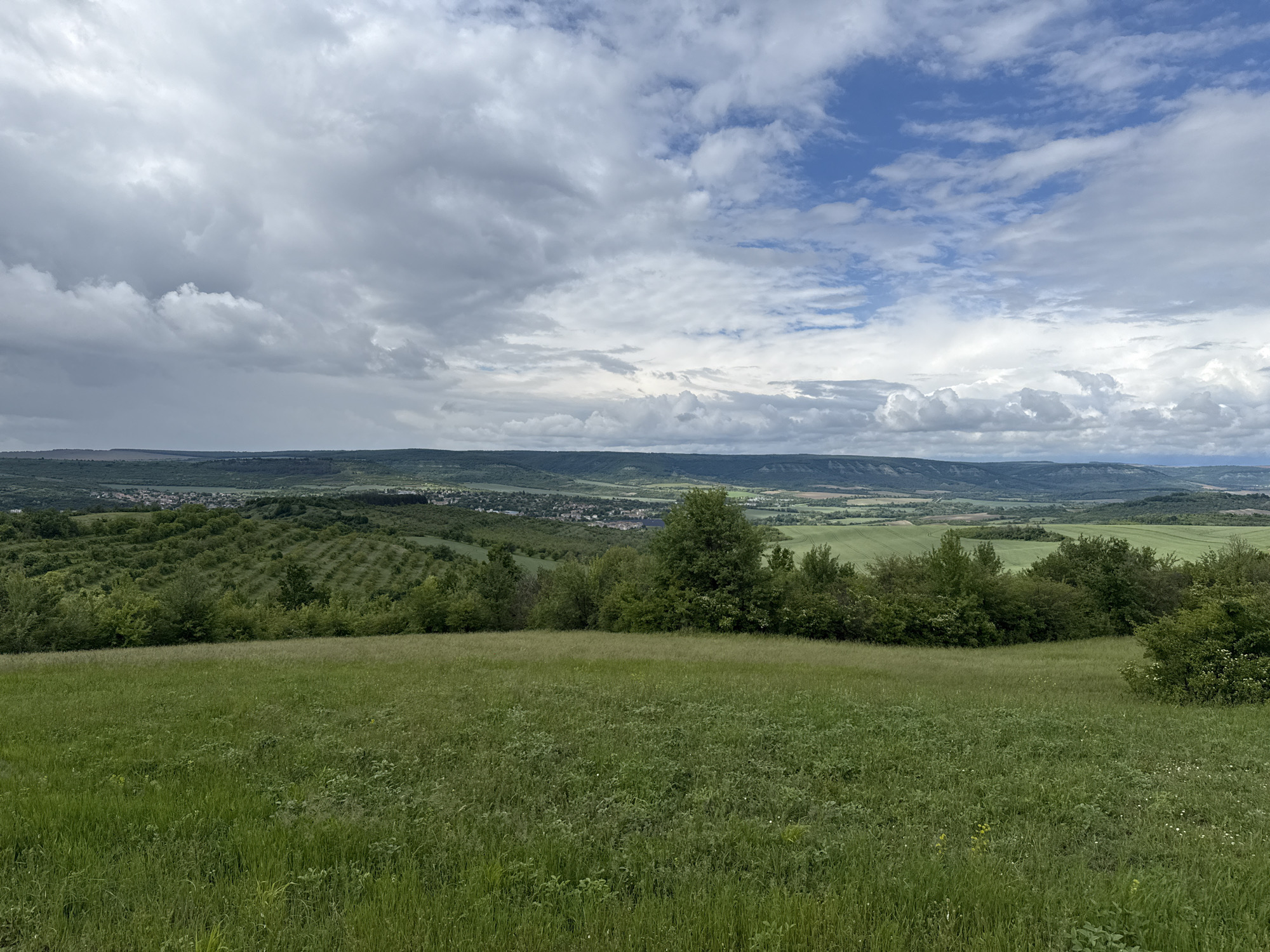 A wide-angle, outdoor photograph depicts a green, grassy field sloping downward in the foreground, transitioning into a midground of shrubs and trees. In the distance, a cityscape is visible along the tree line, with varied terrain extending to the horizon, all under a sky dominated by white and grey clouds with patches of blue. This location is near Blagoevo, Bulgaria.