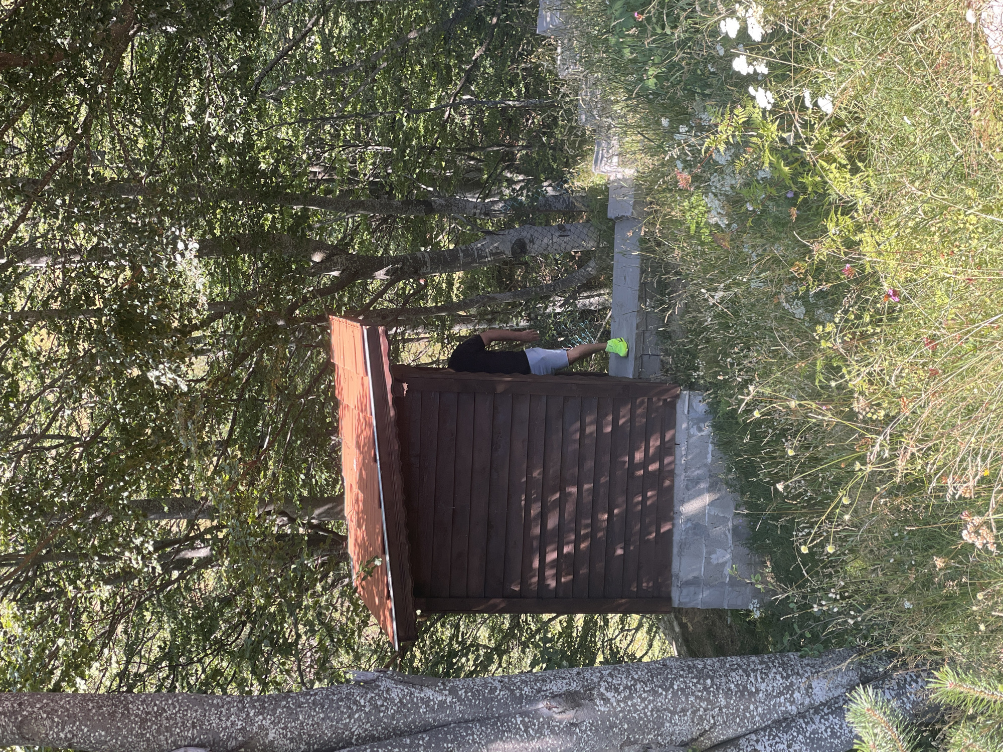 An outdoor, wooden outhouse with a red, sloped roof is situated in a wooded area. The outhouse is constructed of dark brown horizontal wooden planks and rests on a concrete block foundation. A person wearing a black t-shirt and light-colored shorts, with bright green athletic shoes, is walking away from the outhouse and up a set of stone steps. The surrounding environment is overgrown with tall grass, weeds, and wildflowers. Trees with dense green foliage form a natural backdrop. The scene appears to be in a rural or natural setting, possibly a park or a hiking trail, and is bathed in sunlight, creating dappled shadows on the outhouse and the ground.