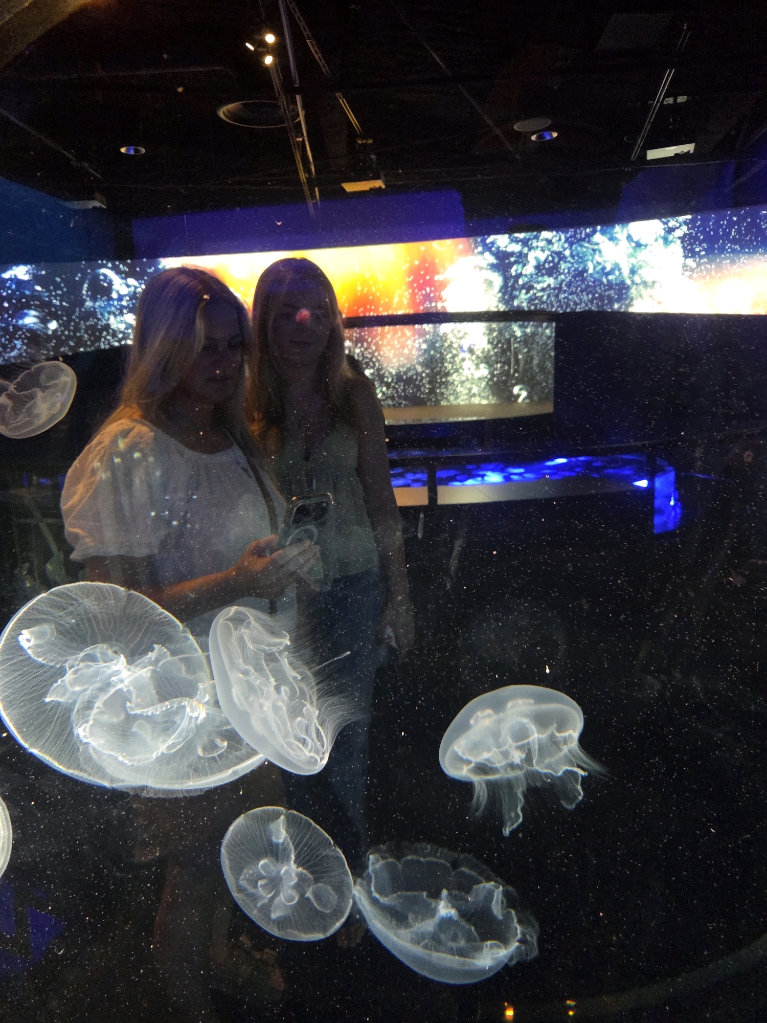 Two women, appearing to be in their late teens or early twenties, are reflected in a glass enclosure containing multiple translucent jellyfish. The woman on the left is wearing a white top and is holding a smartphone, possibly taking a picture or recording a video. The woman on the right is wearing a green tank top and is looking at the enclosure. Both women have blonde hair. The enclosure is dark with numerous bright, white jellyfish of various sizes suspended in the water. In the background, a large screen displays a colorful, abstract image with vibrant oranges, yellows, and blues, resembling a nebula or abstract art. The scene appears to be set in an aquarium or marine exhibit. The lighting is dim, with spotlights directed at the enclosure. The presence of blue lights at the bottom of the enclosure suggests artificial illumination for the exhibit. This scene is consistent with an exhibit at the Aquarium of the Pacific in Long Beach, California, given its known displays of jellyfish and immersive exhibits.