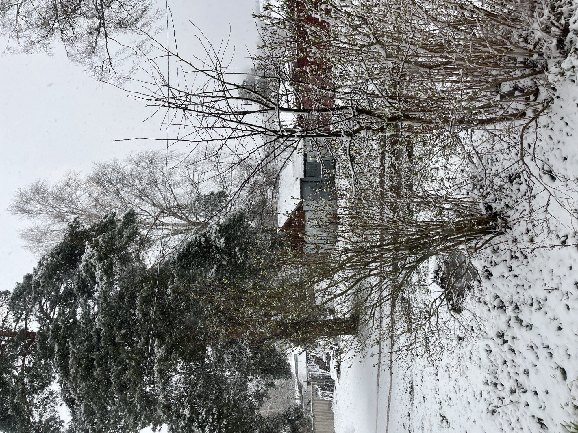 The image depicts a snow-covered scene, likely in a residential area. Trees and bushes are heavily laden with snow. A building with a red brick facade is visible in the background. The ground is covered in a thick layer of snow. The sky is overcast. The overall impression is one of a cold, winter day. The location is stated as Раздолье, Russia.