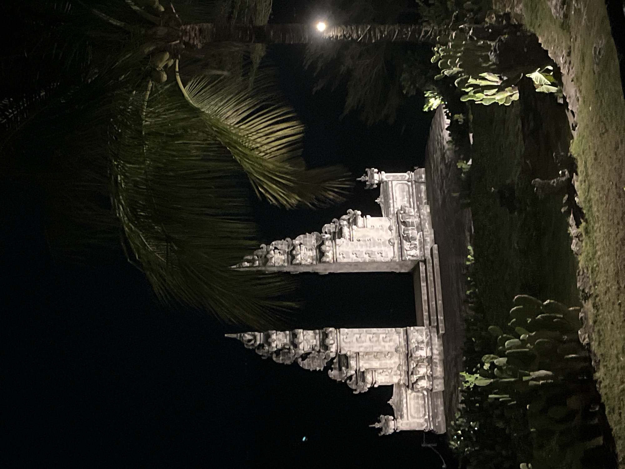 The image shows a Balinese gate structure at night in Nusa Penida, Indonesia. The gate is made of light-colored stone and features intricate carvings. A palm tree is partially visible on the left side of the image, with its fronds extending towards the gate. The background is dark, with a light source illuminating the scene from above and behind the palm tree. To the right of the gate, there is a moss-covered wall with plants growing on it.