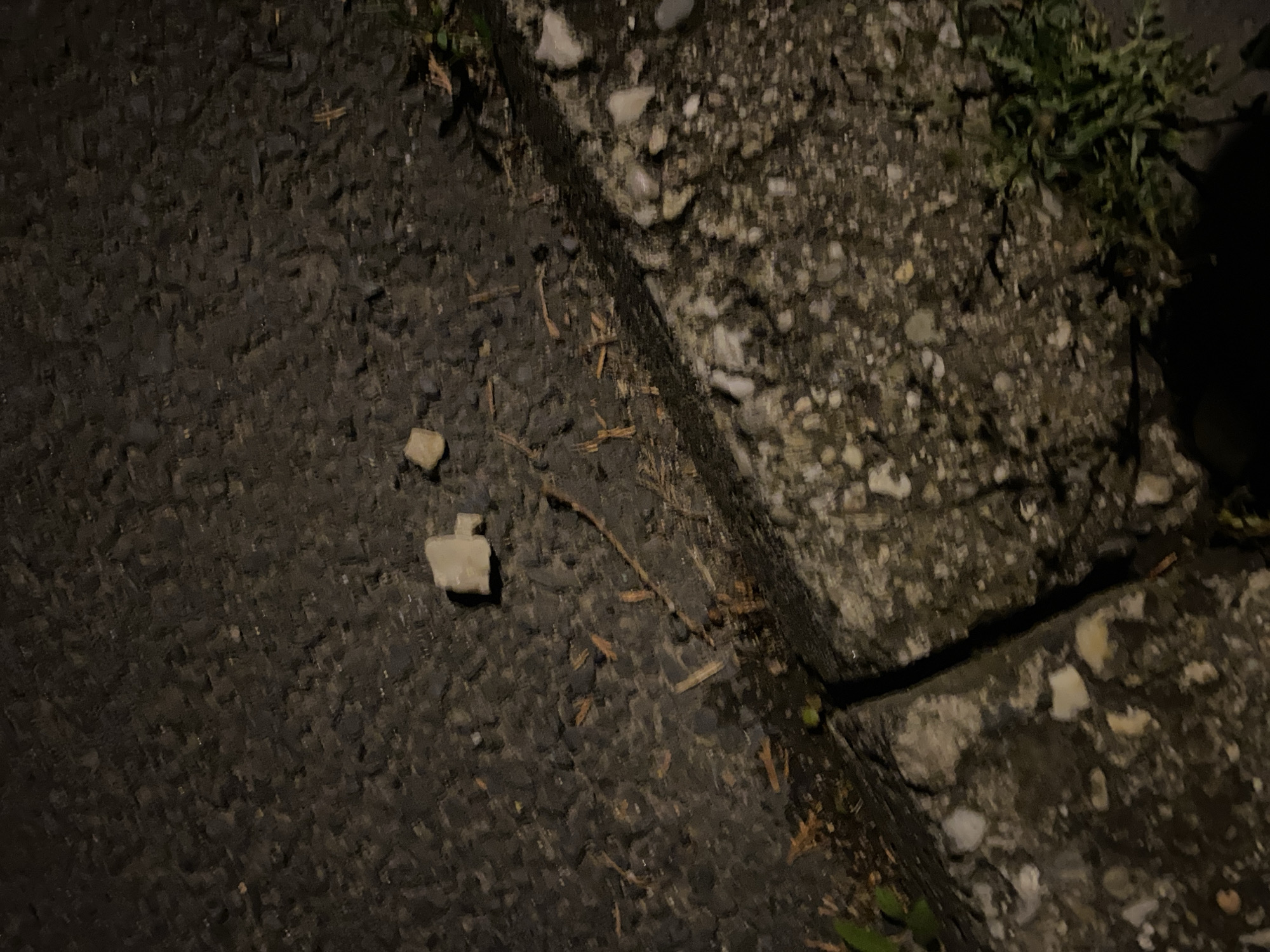 The image shows a close-up view of an asphalt surface with scattered debris and vegetation along a concrete curb. The scene appears to be outdoors, likely on a street or sidewalk, at night, as indicated by the artificial lighting casting shadows and highlighting textures.
In the upper portion of the image, the asphalt is a dark, granular material with a rough texture. Scattered across the asphalt are small, light-colored fragments of what appear to be rocks or concrete, and some dry, thin pieces of organic material, possibly twigs or leaves. Two distinct, larger light-colored rectangular objects are visible, one in the upper left quadrant and another slightly to the right of the center.
A distinct line separates the asphalt from a concrete curb in the lower part of the image. This curb is composed of larger aggregate, showing a mix of grey and white stones embedded in a darker matrix. The texture of the curb is rough and uneven.
To the right of the curb, a patch of green vegetation, possibly weeds or grass, is visible. The lighting suggests a low angle, creating shadows on the curb and the asphalt. The overall impression is a somewhat neglected urban or roadside environment. The specific location in Bílina, Czechia, cannot be determined from the visual evidence in the image alone.