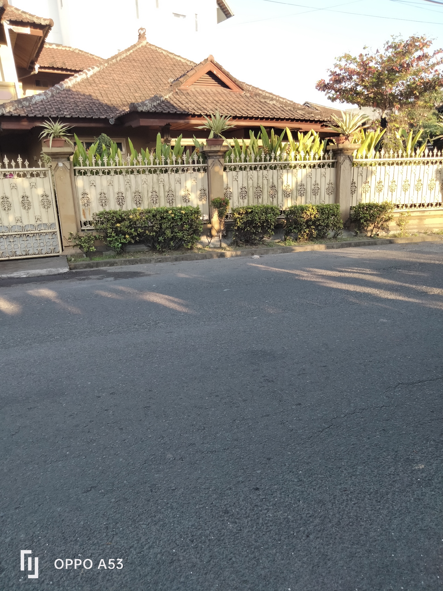 A sunlit, low-angle exterior shot captures a residential property's fence and the street in front of it, likely in Denpasar, Indonesia. The property features a tiled, brown roof with prominent eaves and a decorative crown on the central gable. A white metal fence, adorned with intricate scrollwork and floral motifs, separates the property from the street. Behind the fence, a row of lush green plants and potted plants, including what appears to be a snake plant, are visible. Two large, ornate white gates are partially visible on the left side of the fence. The street in the foreground is paved with asphalt and shows the dappled shadows of trees and foliage cast by the low sun. The overall scene suggests a well-maintained urban residential area.