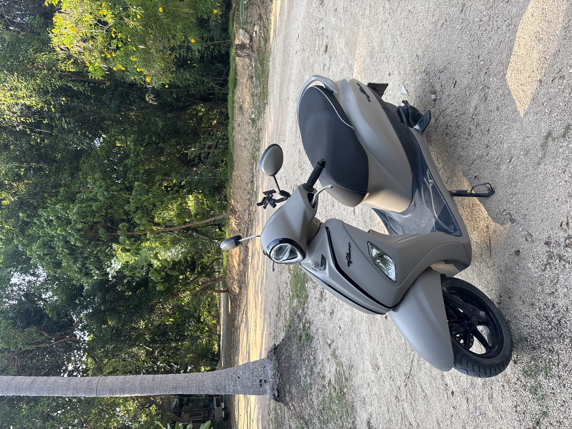 A light gray scooter is parked on a dirt and gravel path. The scooter, which appears to be a Yamaha Fino with "Fino" text visible on its side panel, faces the lower right of the frame. It features a black seat with white piping, black handlebars, and a black front wheel with five spokes.
To the left, a large, horizontal coconut palm trunk occupies a significant portion of the scene. Beyond the path, a dense array of green foliage and trees fills the background, with some trees displaying small yellow flowers in the upper left. The ground is a sandy-colored mix of dirt and gravel, with a few sparse weeds.
The image is captured during daylight hours, indicated by the bright sun casting shadows on the ground and scooter. The setting appears to be a tranquil, outdoor environment, consistent with a rural or semi-rural area in Moo 4, Thailand. No individuals are present in the image.