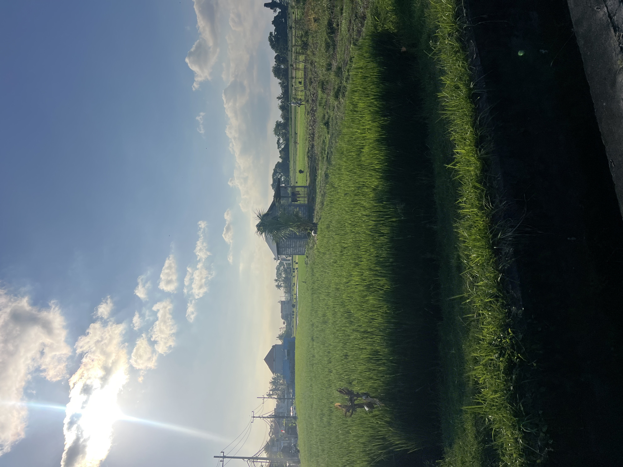 The image depicts a verdant rice paddy under a bright, partly cloudy sky, likely in the city of Kediri, Indonesia. The sun is prominently visible in the upper left quadrant, casting a lens flare and illuminating the sky with soft, hazy light. Fluffy white clouds are scattered across the clear blue expanse.
In the foreground, a dark, shadowed area with lush green grass and some low-lying foliage suggests a ditch or embankment. Beyond this, the rice paddy stretches out, a dense field of vibrant green stalks reaching towards the horizon. In the middle ground, a small, rustic wooden structure, possibly a shed or shelter, stands amidst the greenery, topped with a palm frond. A fence surrounds this structure, and a few figures, possibly people or scarecrows, are visible in the distance within the rice fields.
To the left, a utility pole with wires and a small cluster of buildings, some with pitched roofs and one with a distinctive, angular roofline, indicate the proximity of a town or village. The overall impression is one of rural tranquility, with a blend of natural landscape and signs of human habitation. The lighting suggests it is either early morning or late afternoon, given the angle of the sun and the soft illumination.