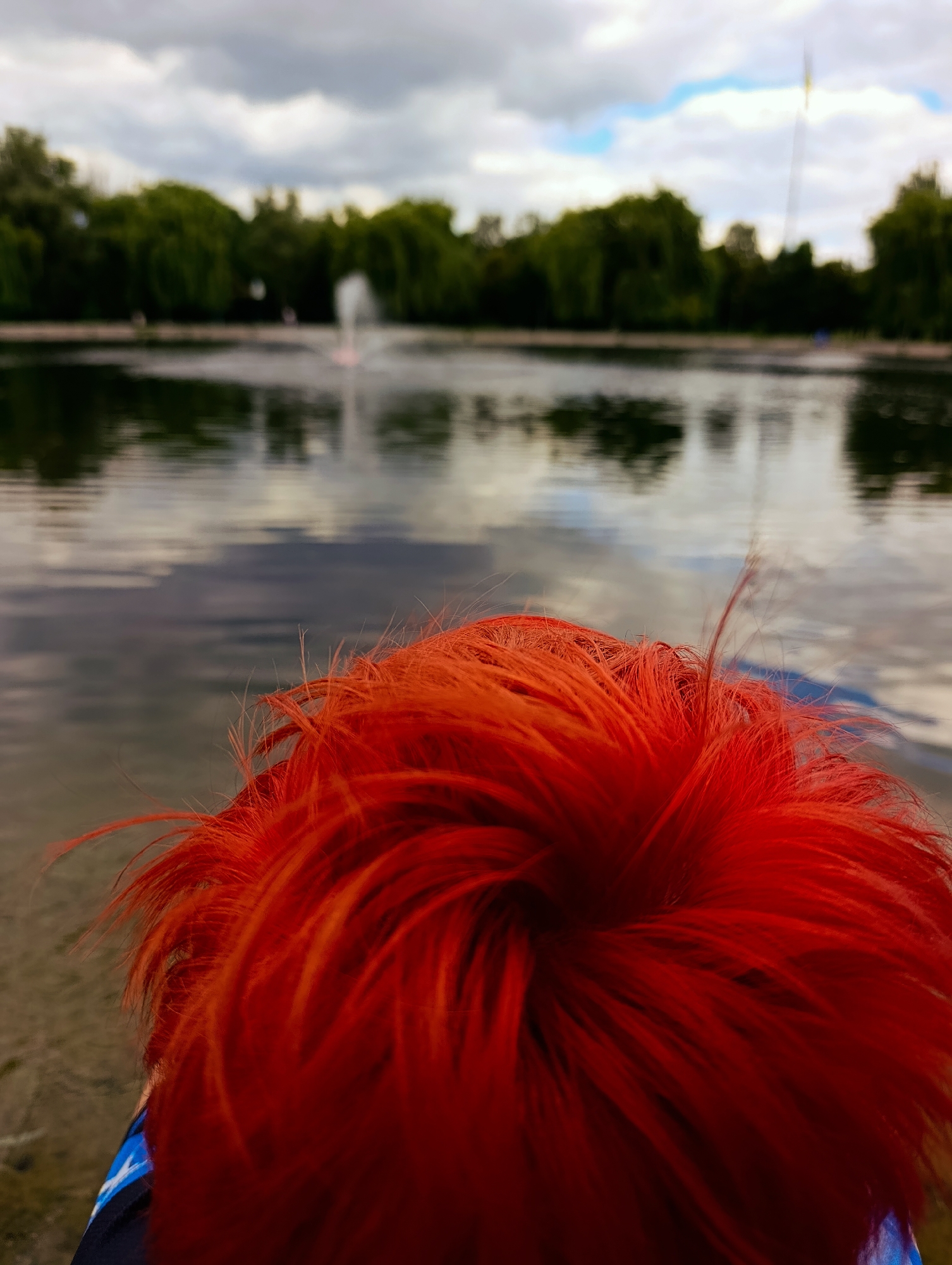 A person with vibrant red hair is positioned in the foreground, their head turned away from the camera. Behind them, a body of water reflects the cloudy sky and a line of trees. A fountain is visible in the distance, spraying water into the air. The overall scene suggests an outdoor park or recreational area. Based on external information about the park's location, this photograph was taken at the Hydropark in Brovary, Ukraine.
