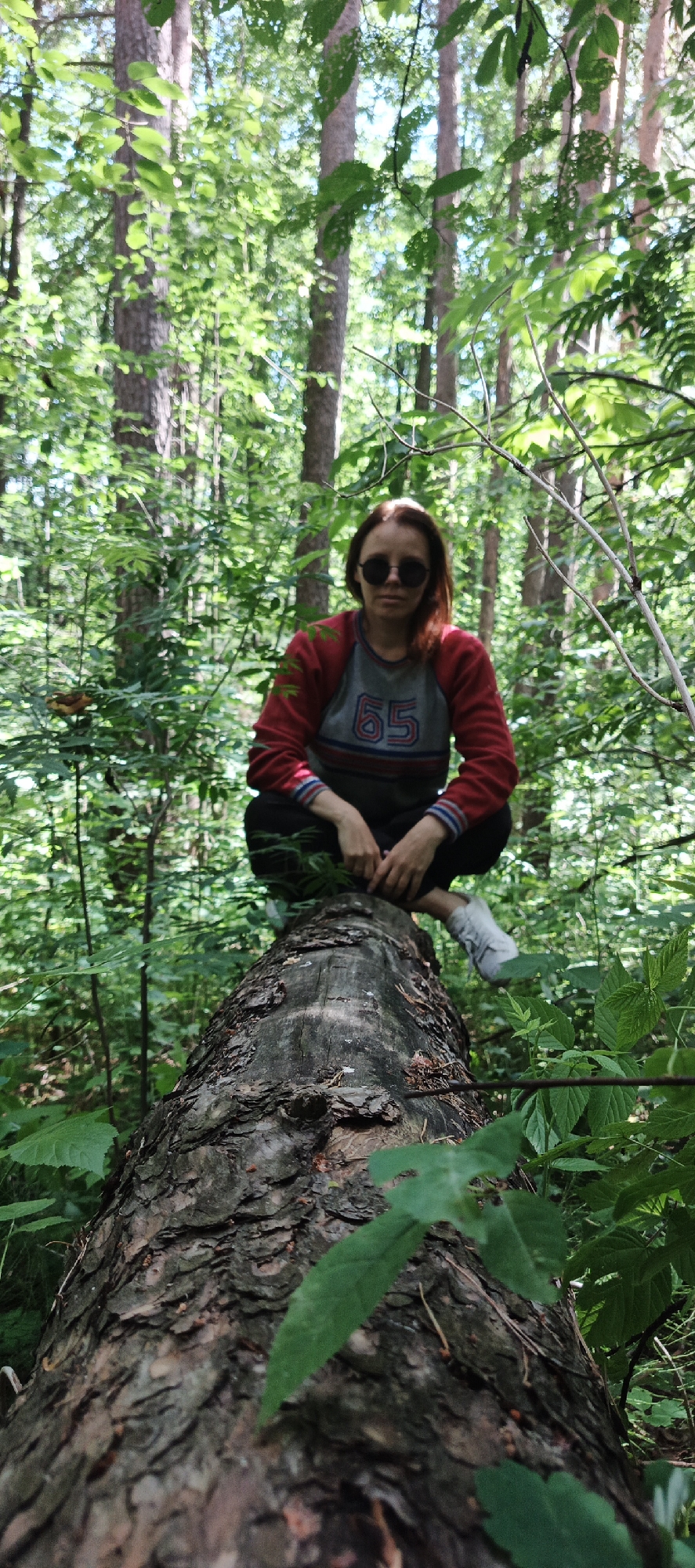 In a forest setting, a young woman with auburn hair and sunglasses is crouching on a fallen log. She is wearing a gray and red long-sleeved shirt with the number "65" on it, black pants, and white sneakers. The forest floor is covered in lush green foliage, and tall trees with dappled sunlight filtering through their leaves surround the scene. The log itself is rough and textured, covered in bark. The image appears to be taken in the city of Chaikovsky, Russia, given the context of its location.