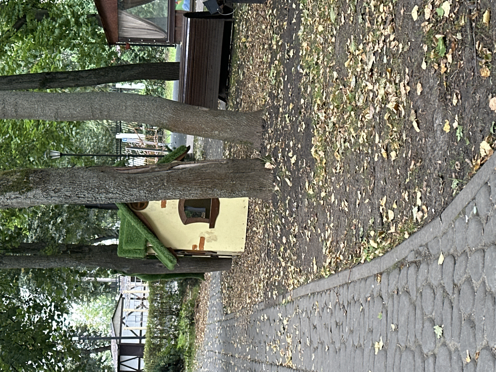 An outdoor scene, possibly a park or garden in Podolsk, Russia, shows a small, yellow, playhouse with a green, grass-like roof and a brown-trimmed window. The playhouse is nestled between two large tree trunks. A cobblestone path runs along the left side of the image, bordered by dry leaves scattered on the ground. In the background, there are more trees, a lamppost, a building with a white and brown facade, and a dark wooden bench. The overall impression is one of a slightly overgrown, autumnal setting. There are no people visible in the image.
