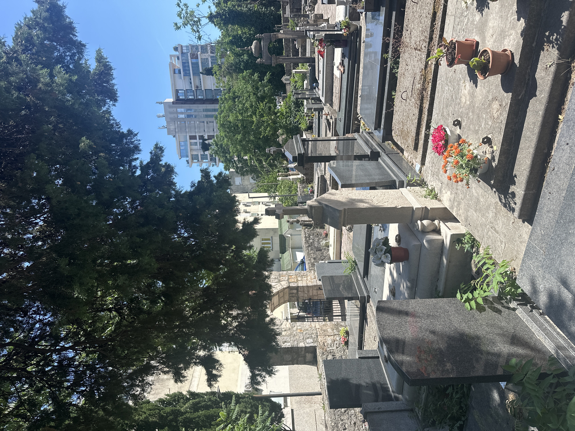The image depicts a cemetery in Budva, Montenegro, characterized by various tombstones and grave markers. The graves are constructed from stone and feature ornamentation such as crosses and flowerpots. Some graves exhibit evidence of recent floral offerings. The environment includes trees providing shade over parts of the cemetery. In the background, buildings characteristic of an urban area in Budva are visible. The sky is clear and blue, indicating daylight. The perspective is slightly off-center and angled.