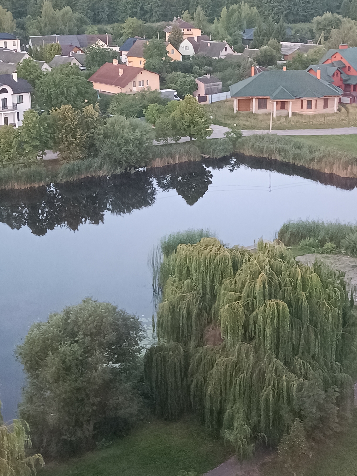 The image depicts a serene waterside scene in the city of Brest, Belarus. A calm body of water, likely a river or canal, occupies the lower half of the frame. Its surface reflects the surrounding trees and a few buildings. On the far bank, a cluster of houses and trees is visible. To the right, a large weeping willow tree with its characteristic drooping branches dominates the foreground, its greenery lush and full. Further back, more trees and vegetation form a dense natural backdrop. The overall atmosphere is tranquil and somewhat rural, despite being within a city.