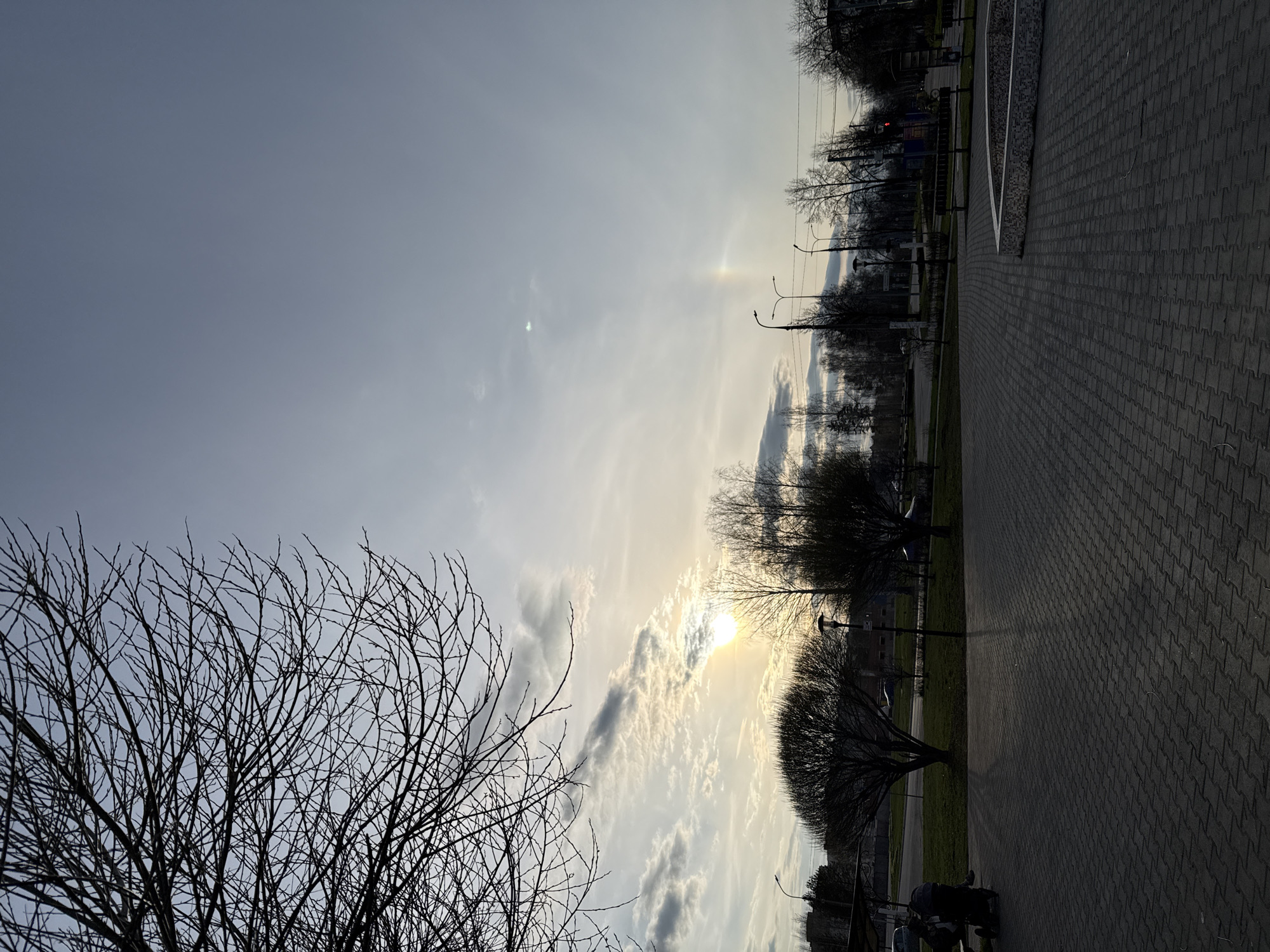 The image depicts a city scene at sunset. The sky is a pale blue with scattered clouds, and the sun is partially obscured by clouds. Silhouetted trees line a paved walkway, which is made of interlocking paving stones. Street lights are visible in the distance. Bare branches of a tree are in the foreground.