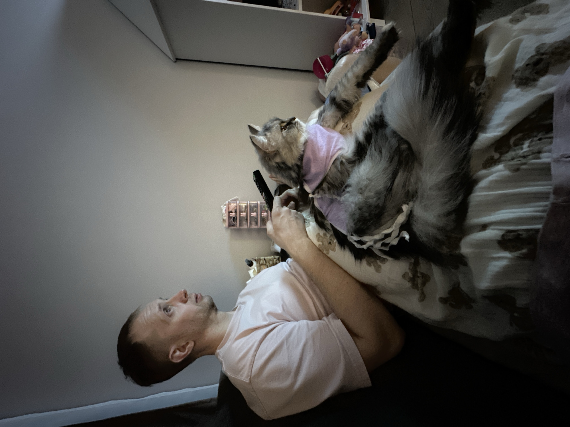 A man is lying on his back, holding a TV remote, with a grey and white cat wearing a pink shirt lying on him. They are on a bed with a patterned bedspread. There is a wall and shelving in the background. The location is not identifiable as Chaikovsky, Russia.
