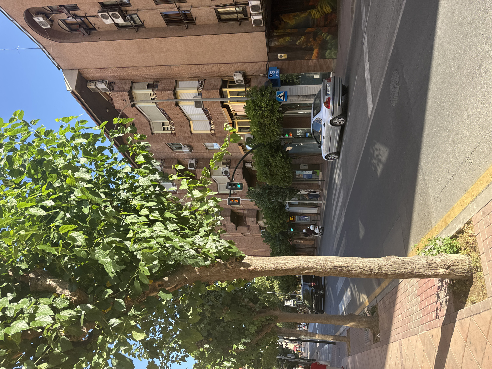 The image depicts a street scene in Murcia, Spain, under a clear blue sky. A sidewalk lined with trees runs along the left side of the image, with a brick-patterned pedestrian path. The street itself is paved asphalt, with white pedestrian crosswalks visible.
On the right side of the street, a multi-story building with a reddish-brown brick facade stands. The building features numerous windows and several air conditioning units mounted on its exterior. A blue sign with the letters "BS ATM" is visible on the building's ground floor. Adjacent to the ATM sign, a colorful mural depicting a forest scene is painted on the building's wall.
Several vehicles are present on the street: a silver sedan, a black SUV, and a scooter with a rider. Pedestrians are also visible on the sidewalk and crossing the street. Traffic lights are mounted on poles, indicating a controlled intersection. The overall impression is of a typical urban environment on a sunny day.