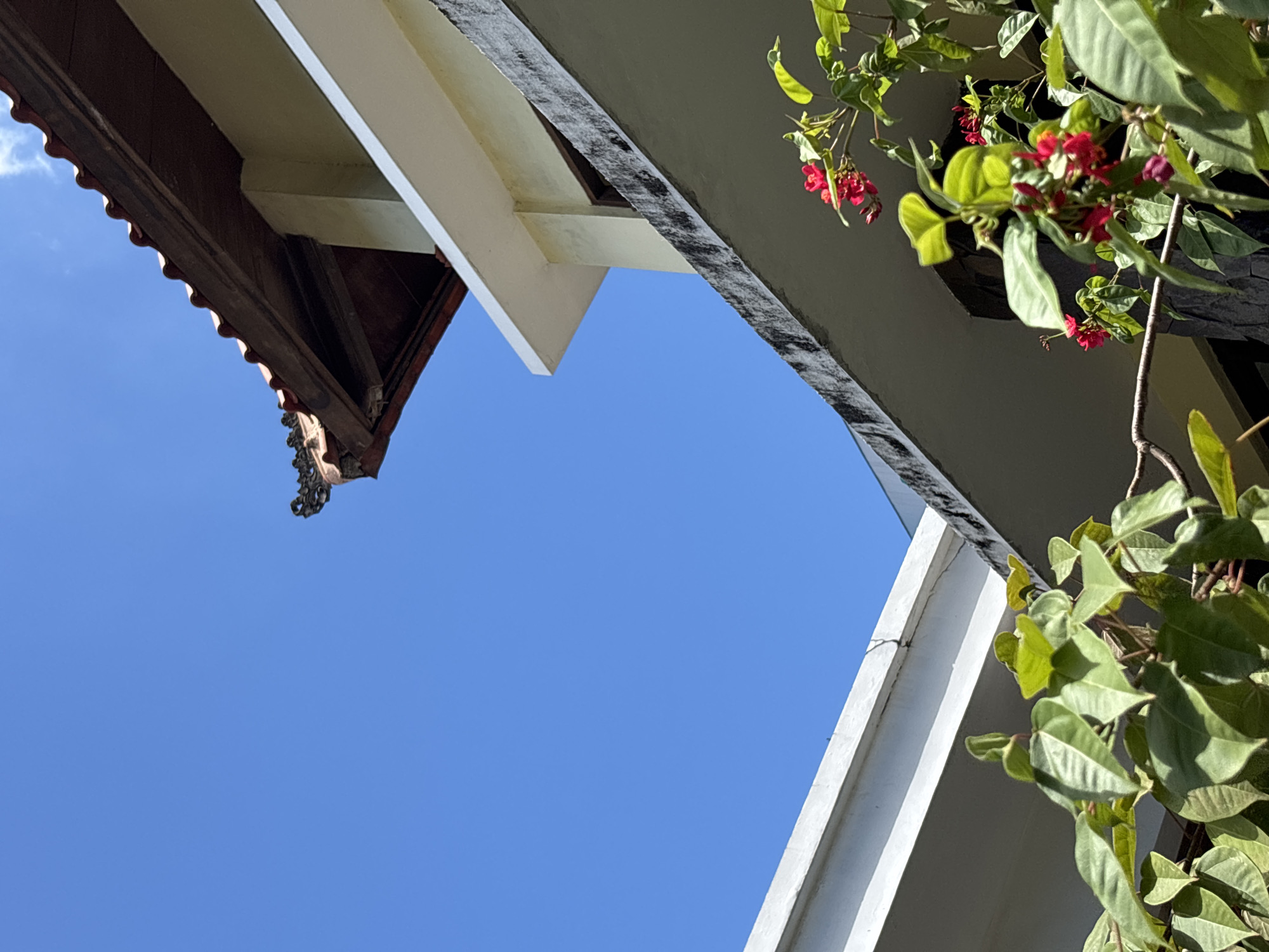 A low-angle shot shows a clear blue sky partially framed by architectural elements and vegetation. On the left, the edge of a brown tiled roof and a white architectural support structure are visible. On the right, a gray and white structure is partially obscured by flowering vines with green leaves and small red flowers. The location is South Denpasar, Indonesia based on architectural style and vegetation.