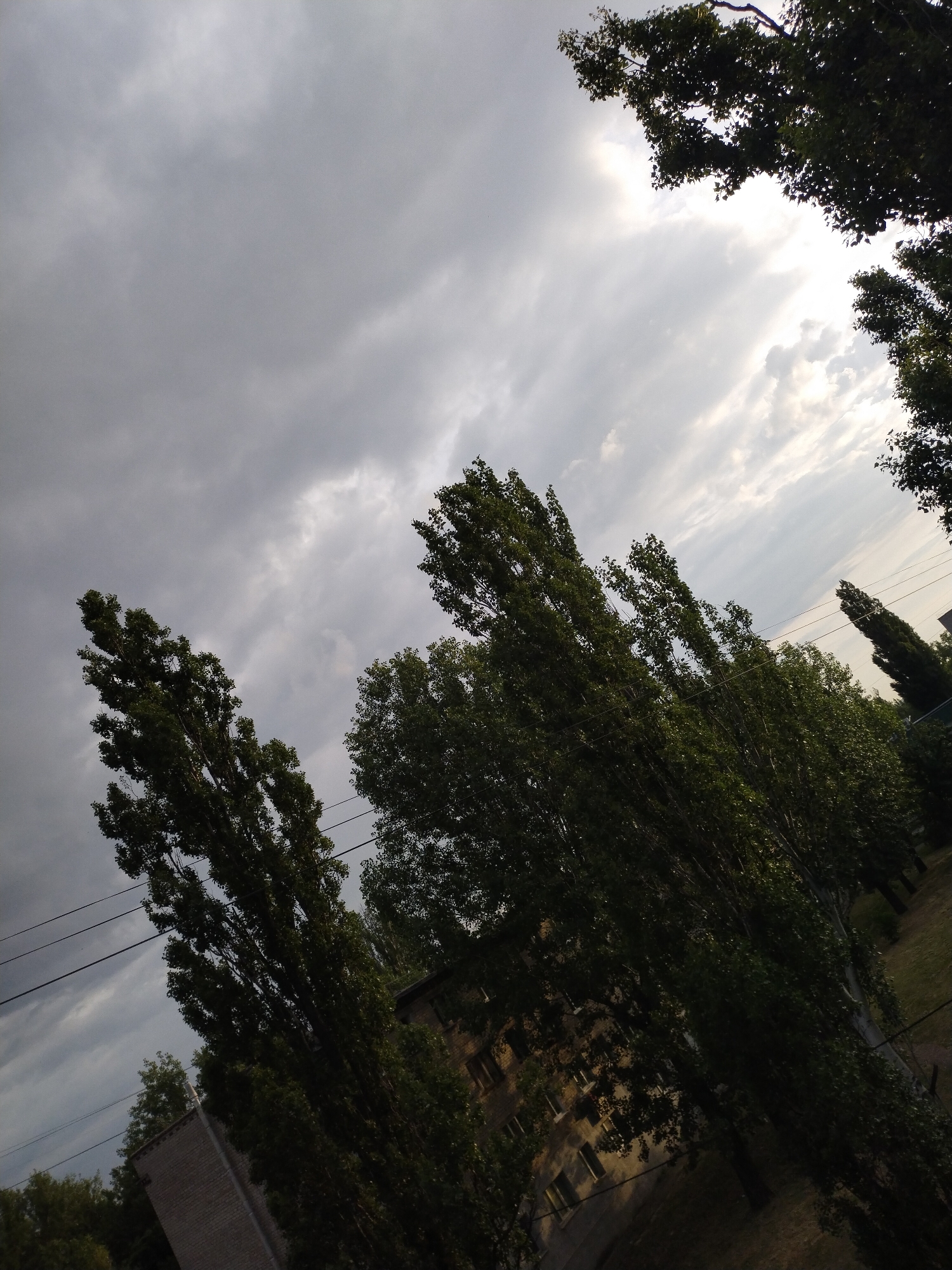 This image presents an outdoor scene, likely situated in Horishni Plavni, Ukraine, captured with a diagonal orientation. The upper portion of the frame is dominated by a cloudy sky, transitioning from dense, dark grey overcast conditions in the upper left to brighter, partly cloudy formations with visible sun penetration in the upper right. Numerous tall, slender deciduous trees, consistent with poplars, displaying dense green foliage, are prominently featured, vertically dissecting the frame and partially obscuring the lower ground level. Multiple dark utility lines are visible spanning horizontally across the mid-left section of the image, passing through the tree canopy. In the lower-midground, a multi-story building constructed of light-colored brick, featuring several windows, is partially discernible behind the trees. No human figures, animals, or specific activities are visible. The ambient light suggests an overcast day with intermittent sun.
