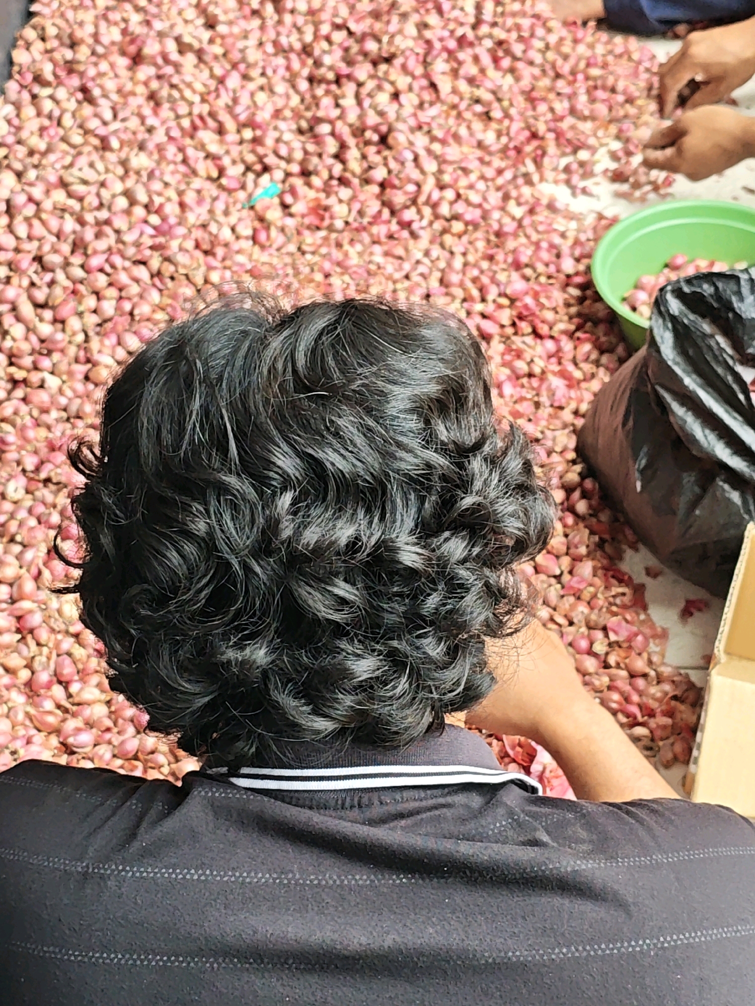 In the city of Ngasem, Indonesia, a close-up, high-angle shot captures the back of a person with curly, dark hair wearing a black shirt with a white striped collar, facing a large pile of shallots spread on the ground. Several other individuals, whose hands are visible, are sorting through the shallots. To the right of the frame, a green plastic basin and a black plastic bag are present. The scene suggests a communal activity of harvesting or processing shallots.