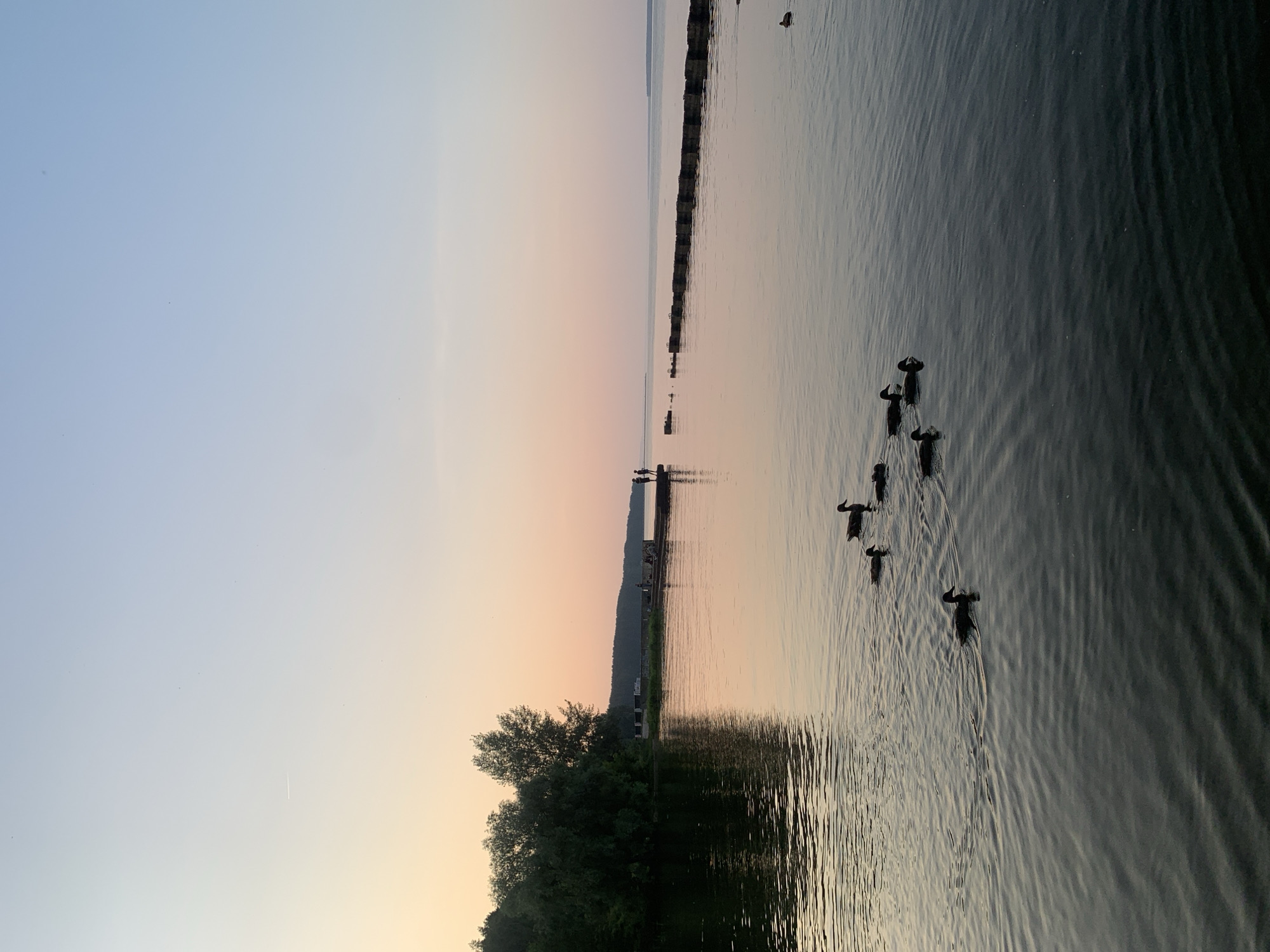 At sunset on a body of water, possibly the Kama River in Chaikovsky, Russia, a group of ducks swims in the foreground. In the middle ground, a pier extends into the water, with several figures standing on it. Along the shore, a dense line of trees borders the water. The sky exhibits a gradient of soft pink and blue hues, indicating the transition from day to night. A long, man-made structure made of concrete blocks stretches across the water in the background. The overall scene is serene and peaceful.