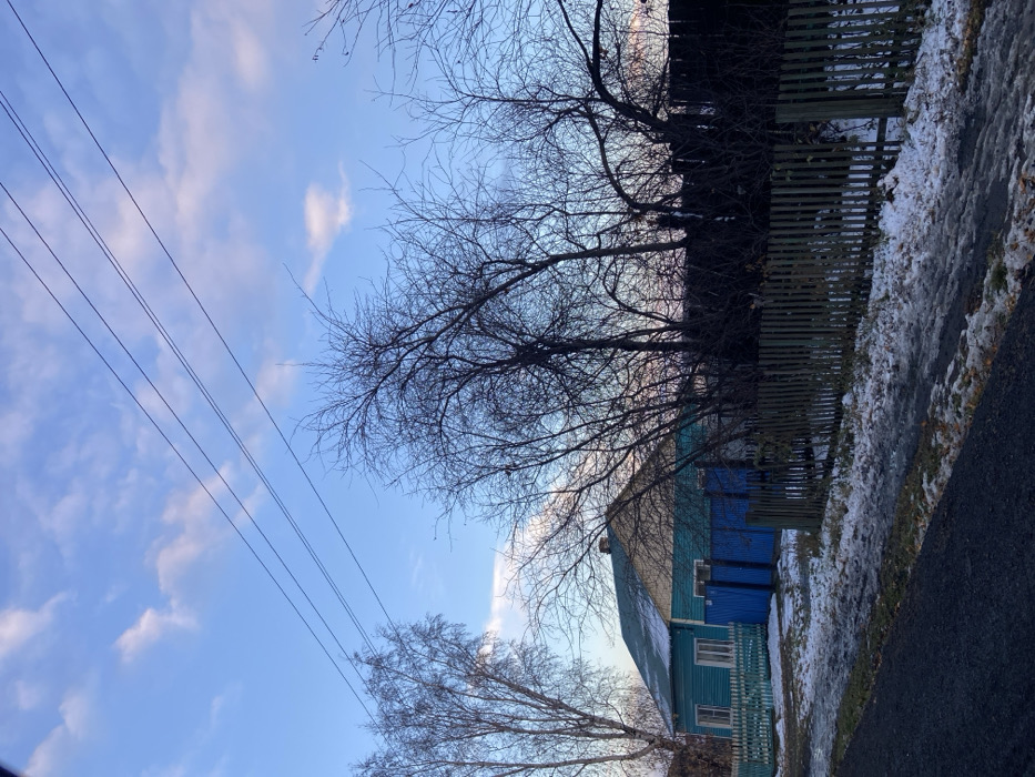 The image displays an exterior scene in Sheragul, Russia, under a partially cloudy blue sky featuring white and subtle pink-tinted stratocumulus clouds. Four parallel utility lines traverse the upper portion of the frame. The foreground consists of a dark-colored road or path, with the adjacent ground covered in irregular patches of dirty snow and exposed brown earth.
On the left mid-ground, a single-story wooden house with light teal-colored siding and a dark greenish-blue gable roof is visible. The house has at least two white-framed windows on its visible facade. A light teal picket fence extends from the house towards the foreground on the left. Directly in front of the house, a prominent blue wooden gate and an adjacent blue fence section are present.
To the right of the house, a darker wooden picket fence runs horizontally across the mid-ground, defining a property boundary. The ground behind this fence also exhibits patches of snow and bare earth. Multiple deciduous trees, largely devoid of leaves, are scattered throughout the scene. A tall birch tree with light-colored bark stands on the far left. A dense cluster of dark-branched, leafless trees occupies the right half of the image, partially obscuring the house and forming silhouettes against the sky. No individuals or discernible activities are present within the frame.