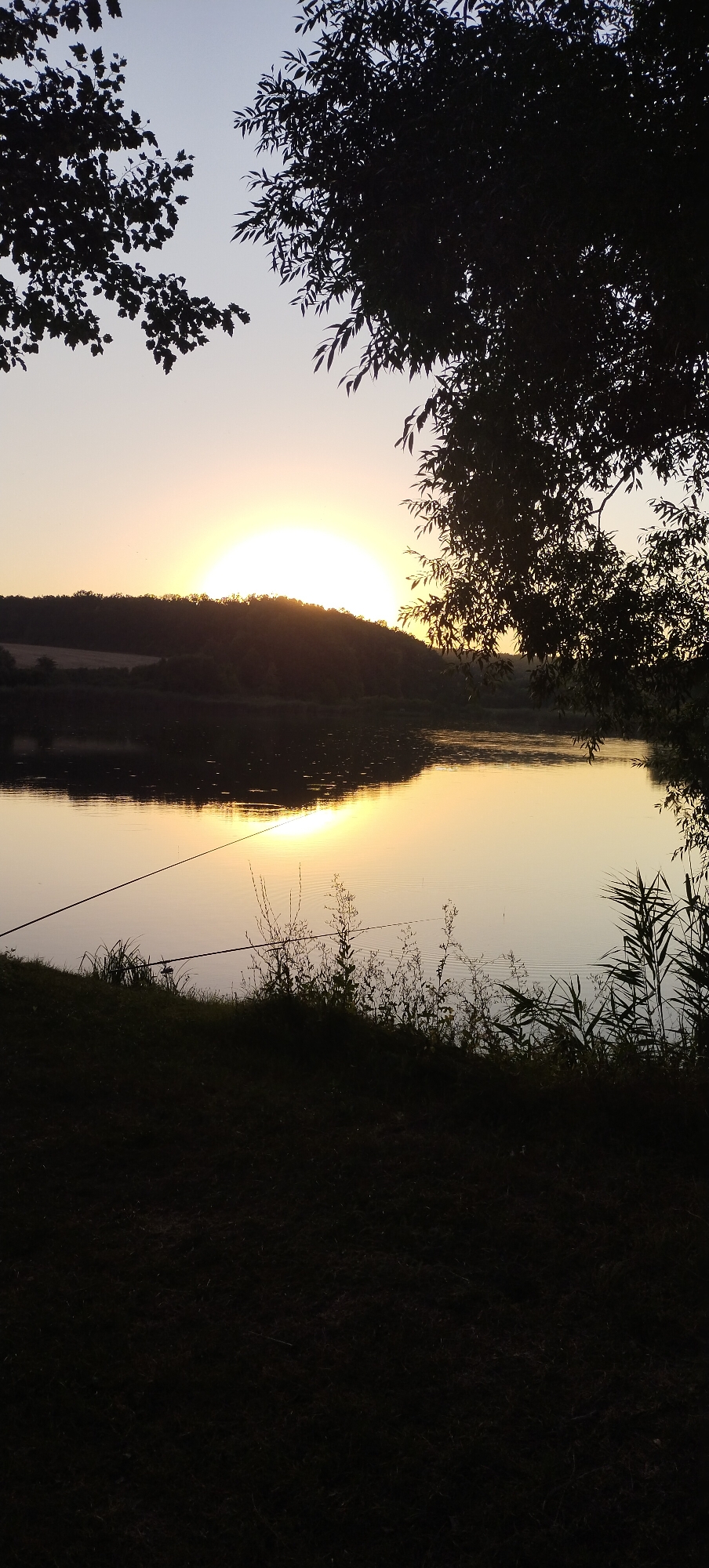 This is a vertical, full-shot, photographic image of a lake at sunset, framed by trees. The sky is a pale gradient from light blue at the top to a pale yellow-orange near the horizon. The sun, a bright yellow orb, is partially visible, setting behind a silhouetted, forested hill. The lake's surface is calm, reflecting the colors of the sky and the sun. In the foreground, the dark silhouette of a grassy bank with tall reeds and grasses is visible, with two fishing rods extending into the water. The image appears to have been taken in the city of Vysokopillia, Ukraine.