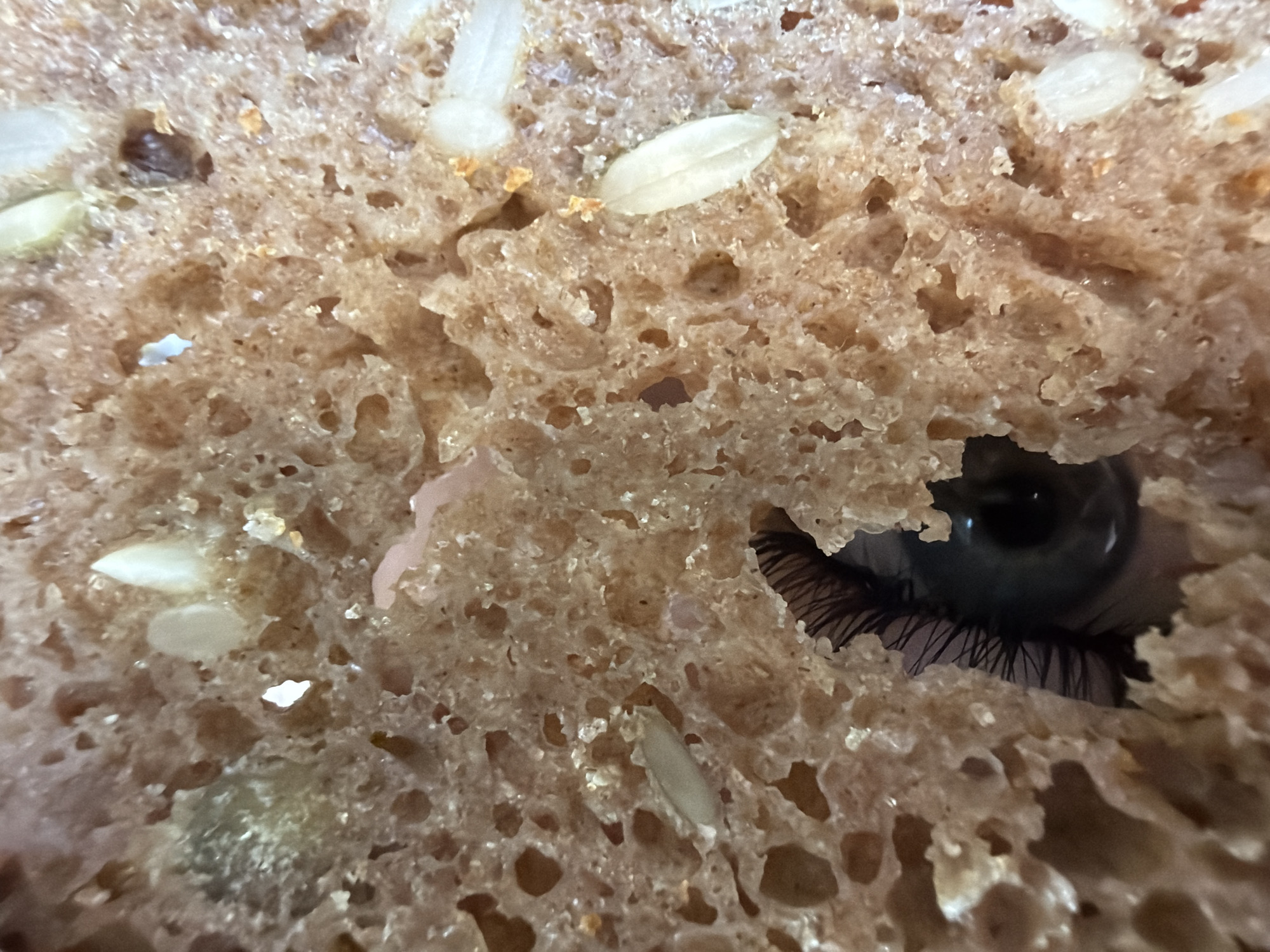 A close-up image reveals a cross-section of bread, interspersed with seeds. Peeking through a hole in the bread is a human eye with dark eyelashes. The setting location in the city of Chaikovsky, Russia, is not evident in the image itself.