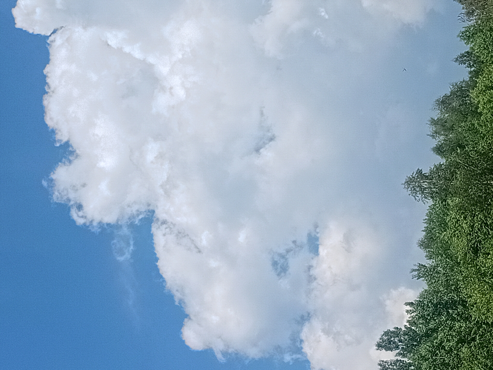 The image captures a slice of a bright, sunny day in Verkhniachka, Ukraine. The primary subjects are a vast expanse of fluffy white clouds against a clear blue sky, with the lush green foliage of a tree line dominating the right side of the frame. The clouds are varied, with some appearing dense and billowy, while others are wispy and translucent. The sunlight illuminates the clouds, creating a sense of depth and texture.
The setting appears to be outdoors, likely a natural landscape, given the presence of the tree line. The time of day is suggested to be daytime, with the bright sky and the way the light falls on the clouds. The weather is fair, indicated by the blue sky and the presence of large, white clouds, which are typical of a pleasant day.
Notable details include a small dark object in the sky, which could be a bird or a distant aircraft, situated in the upper right quadrant of the image. The tree line on the right is densely packed with leaves, showing a vibrant green hue, and its irregular edge suggests a natural, unmanicured border. The overall emotion conveyed is one of tranquility and the beauty of nature on a clear day. There is no visible text in the image.