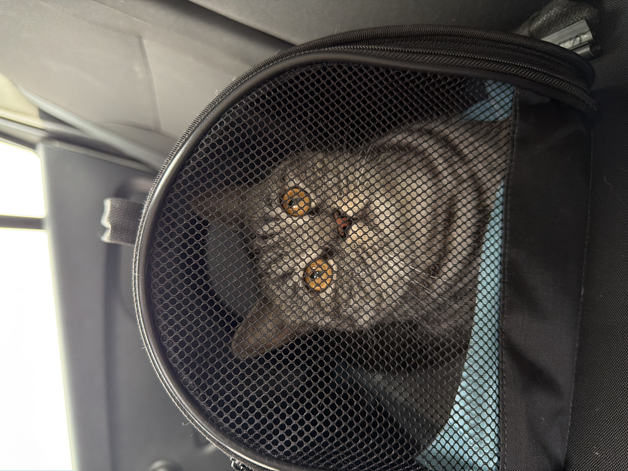 A gray tabby cat with bright orange eyes peers through the mesh front of a black pet carrier. The carrier is positioned on a seat inside a vehicle. The background shows the interior of a car, including a dark gray seat and a glimpse of a window. The lighting suggests it is daytime, possibly overcast given the soft illumination. The cat's expression is wide-eyed, looking directly at the camera.