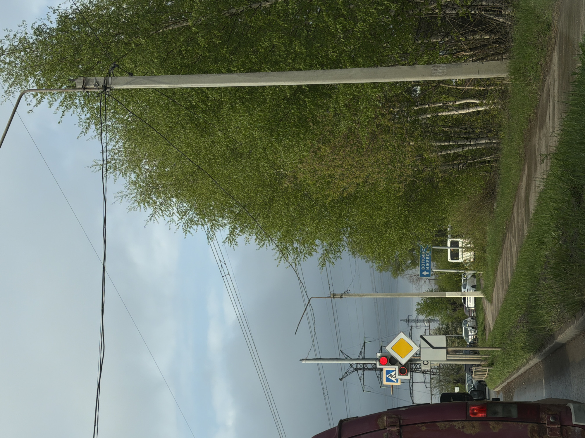 The image shows a road in Chaikovsky, Russia, lined with trees on one side and a sidewalk. There is a row of parked cars on the other side of the road. A street sign indicating "Votkinsk Izhevsk" is visible. Traffic lights are showing red, and various road signs including a diamond-shaped "priority road" sign and a pedestrian crossing sign are displayed. Utility poles and wires stretch across the top of the frame. The foreground is occupied by the rear of a red vehicle. The sky is overcast.
