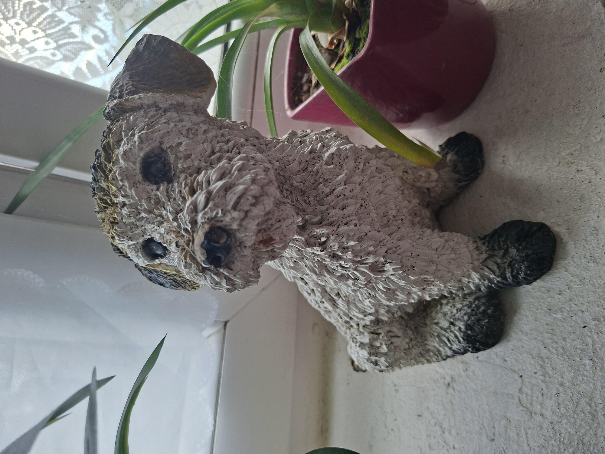 A ceramic figurine of a dog lies on its side against a textured white wall. The dog is a light color with dark accents, particularly on its ears, paws, and muzzle. It has a rough, textured surface, giving it a somewhat weathered appearance. Behind the dog, a vibrant green plant with long, arching leaves rises from a dark pink pot. The pot is partially visible and sits on the same textured wall. To the left of the dog, a white lacy curtain is illuminated by what appears to be natural light, suggesting a window is present. The overall scene is indoors, likely on a windowsill or shelf, with the sunlight casting subtle shadows. There is no visible text in the image.