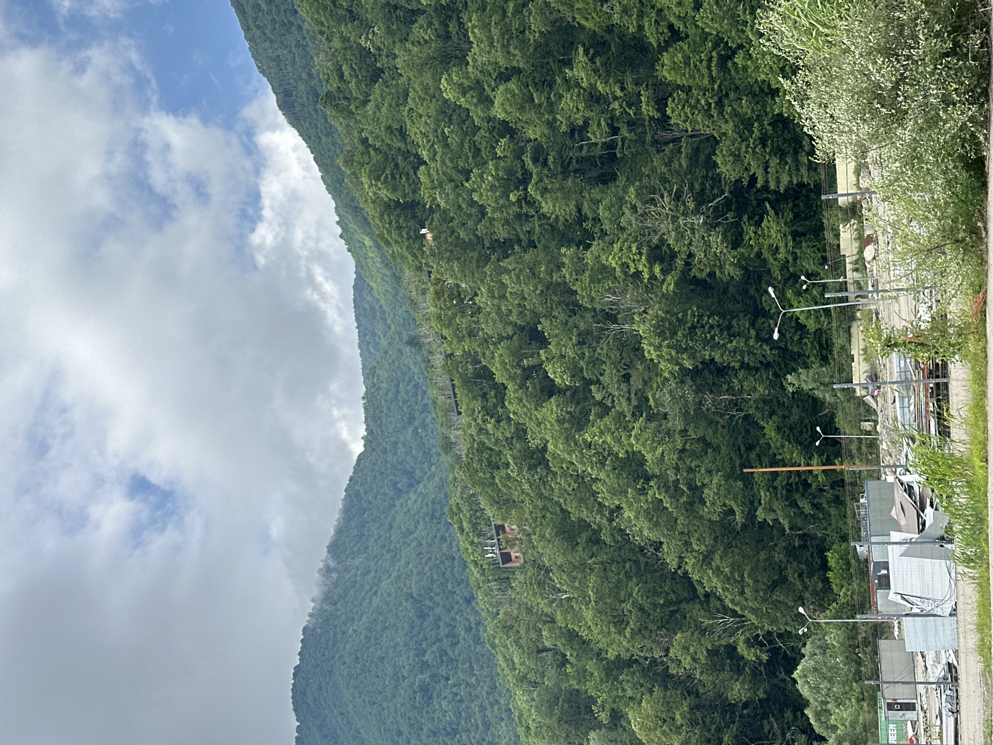 The image captures a scenic view of a densely forested mountainside in Krasnaya Polyana, Russia. The mountains are covered in lush green trees, with a cloudy sky partially obscuring the peaks in the distance. A narrow road or path runs along the base of the mountain on the right side of the frame. Along this path, there are several modern-looking structures, possibly small buildings or kiosks, and streetlights. The overall impression is one of a natural landscape with some man-made elements integrated into it. There is no clear activity or event taking place, and the image appears to be a still shot of the environment. The time of day is difficult to ascertain definitively due to the cloud cover, but the lighting suggests it is daytime. The weather seems overcast, with clouds filling a significant portion of the sky. There is no visible text in the image.