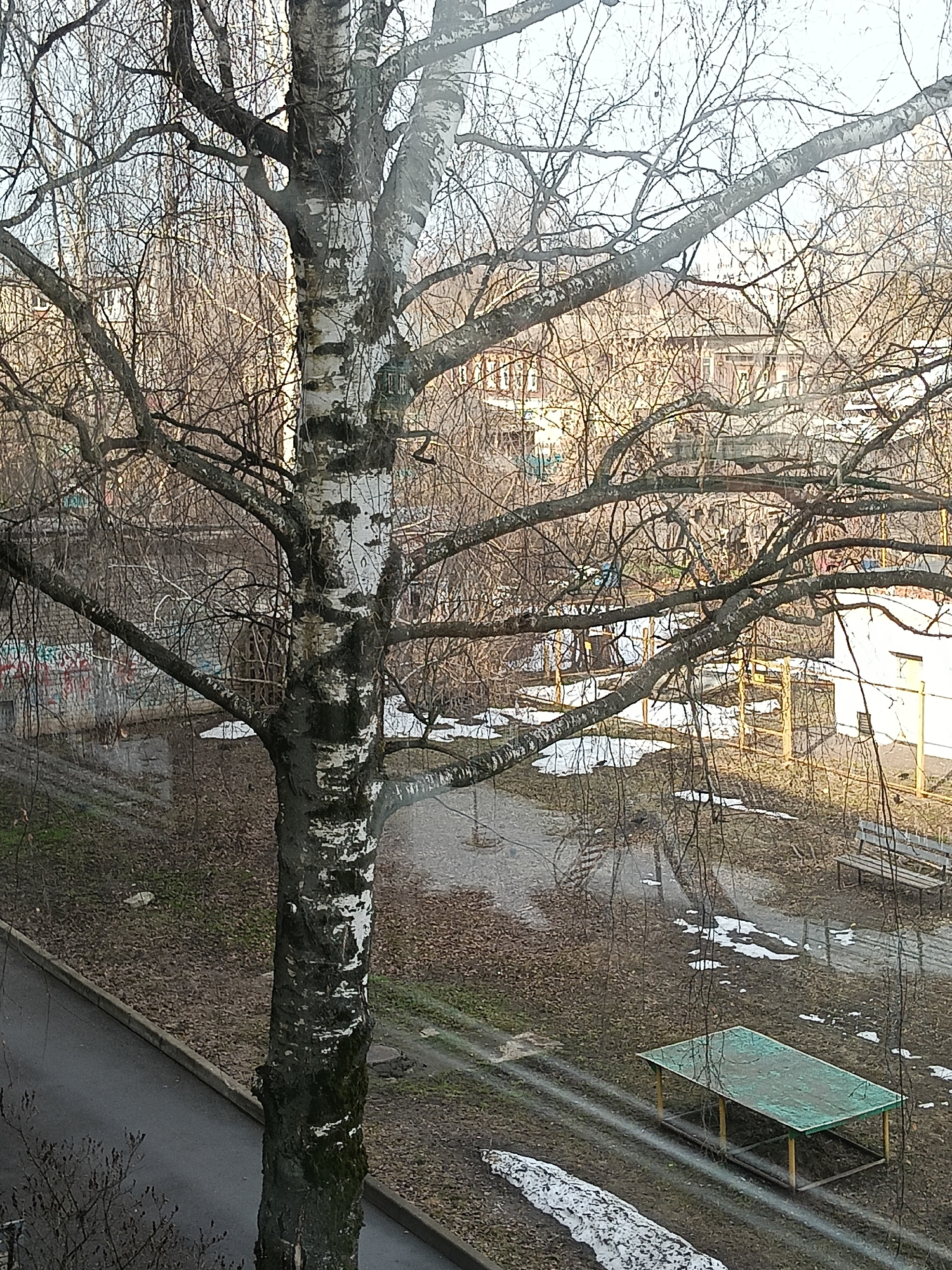 The image captures a view of a courtyard through the branches of a birch tree. Patches of melting snow are scattered across the brown, leaf-covered ground. Several buildings are visible in the background. A picnic table with a green roof is in the foreground to the right. There is a bench nearby. Graffiti is visible on a wall. A road appears in the lower left corner. Based on visual cues, the location is likely Murom, Russia. No people are visible.