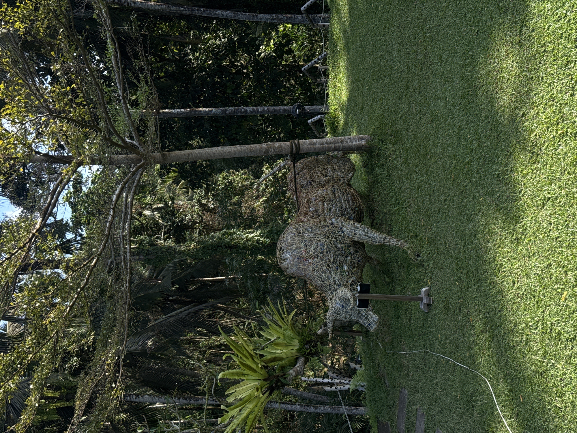 The image depicts an outdoor scene in Tegallalang, Indonesia, featuring a wire sculpture of a bull positioned on a lush green lawn. The bull sculpture is intricate, made of intertwined wires, and appears to be a permanent art installation. Behind the sculpture, a variety of tropical vegetation is visible, including palm trees and large ferns, suggesting a jungle or park-like environment. A slender tree with a light-colored trunk stands to the right of the bull sculpture, with its branches extending over the scene. The ground is covered in well-maintained grass, with some stone pathways visible on the left. The lighting suggests it is daytime, with sunlight casting shadows on the grass. There are no people present in the image.