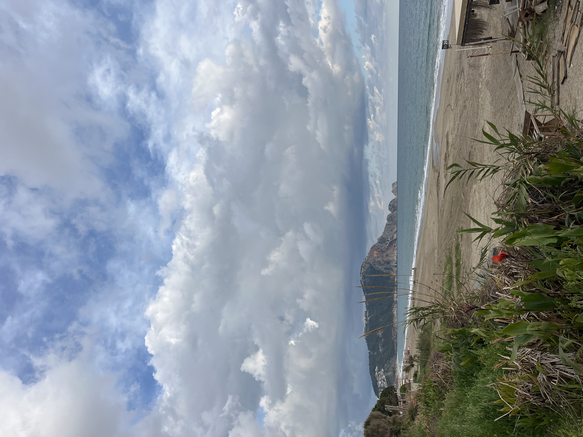 The image presents a scene at a beach in Alanya, Turkey, under a sky dominated by heavy, layered clouds with patches of blue. The coastline stretches horizontally across the frame, with the Mediterranean Sea visible as a turquoise band. A sandy beach extends from the water's edge towards vegetation in the foreground. A mountain or large hill juts into the sea. The foreground features greenery, including grasses and larger-leafed plants. The camera angle is at a high vantage point, and the image appears to be rotated.