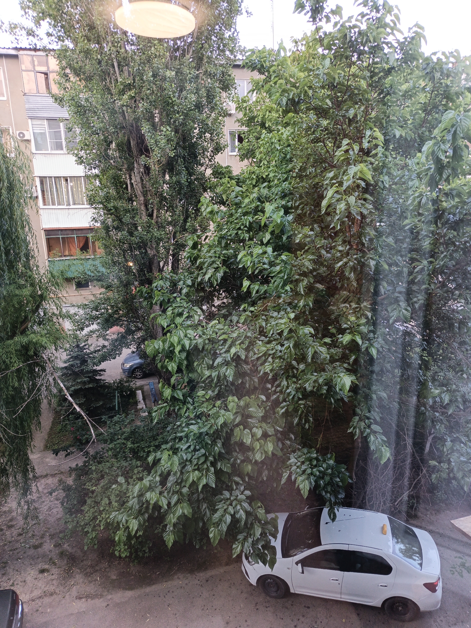 An elevated view of an urban courtyard scene in Goryachiy Klyuch, Russia, reveals a white sedan parked on a dirt and asphalt surface, partially obscured by dense green foliage. The car, facing right, has a yellow taxi light on its roof. Behind the car and to the left, a multi-story building with balconies and windows is visible, interspersed with trees. The foreground is dominated by the leaves of trees, suggesting a close proximity to nature within the urban environment. The overall impression is a snapshot of a quiet residential area, likely taken from a window or balcony.