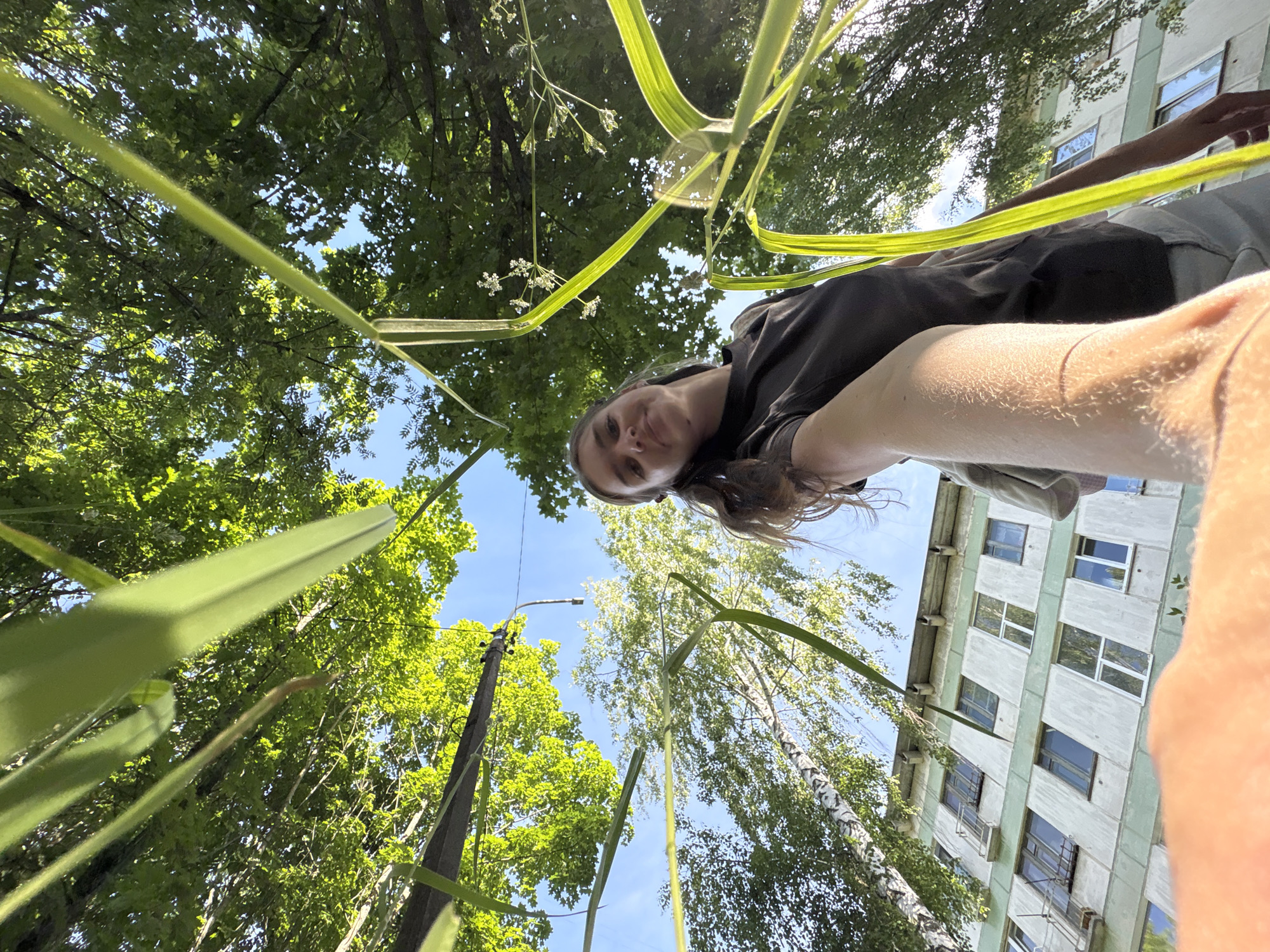 A low-angle, wide-shot photograph captures a young woman with long, dark hair and a dark t-shirt, holding the camera out to take a selfie. She is looking towards the camera with a slight smile. In the foreground, large green grass blades obscure parts of the image, creating a natural frame. Behind her, the blue sky is visible through a canopy of lush green trees. To the left, a multi-story apartment building with a light-colored facade and green trim stands under the trees. The building has numerous windows, some with balconies. The scene appears to be set in a residential area of Chaikovsky, Russia, likely during a sunny day.